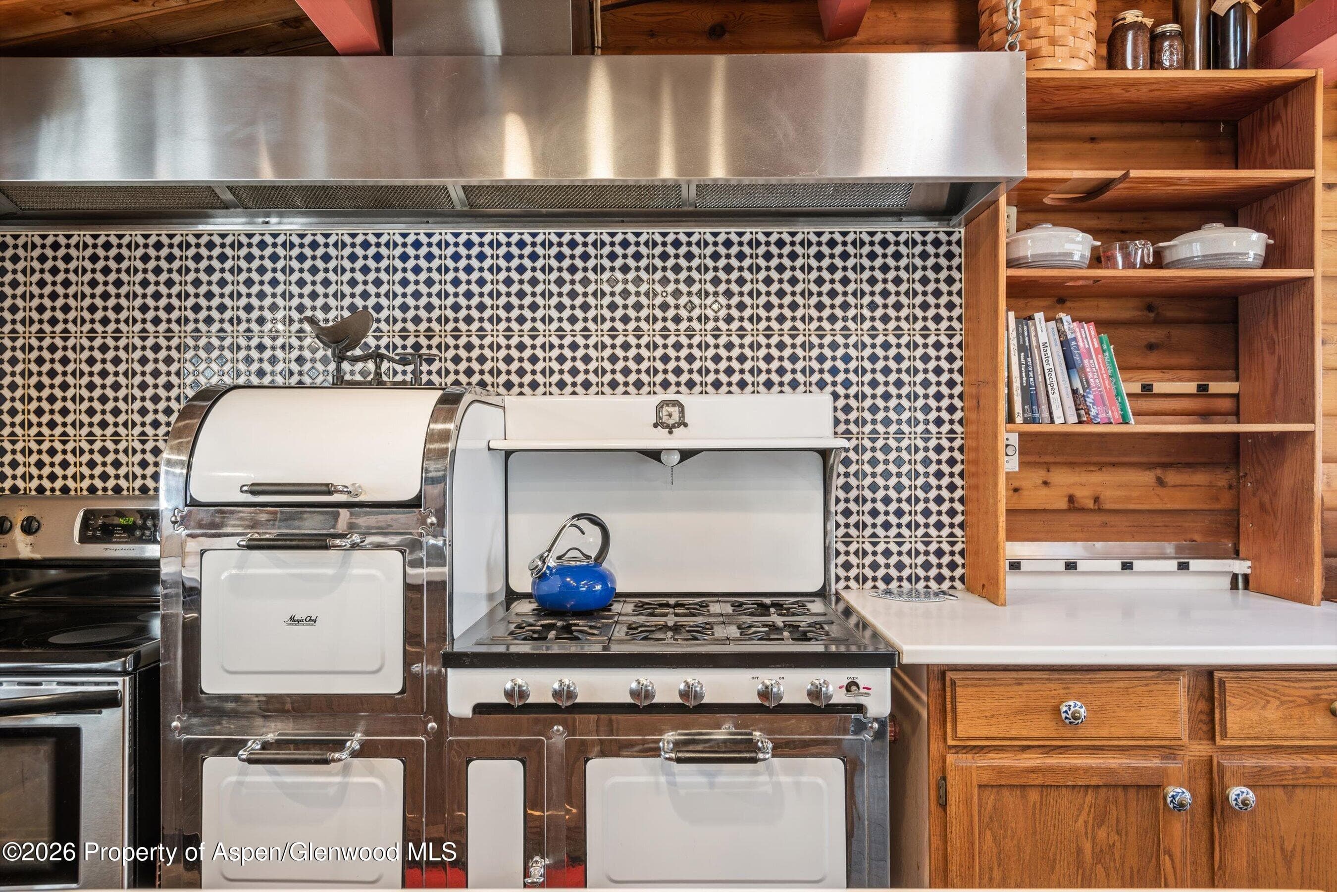 246 Roaring Fork Drive, Aspen, CO 81611 - Photo 10