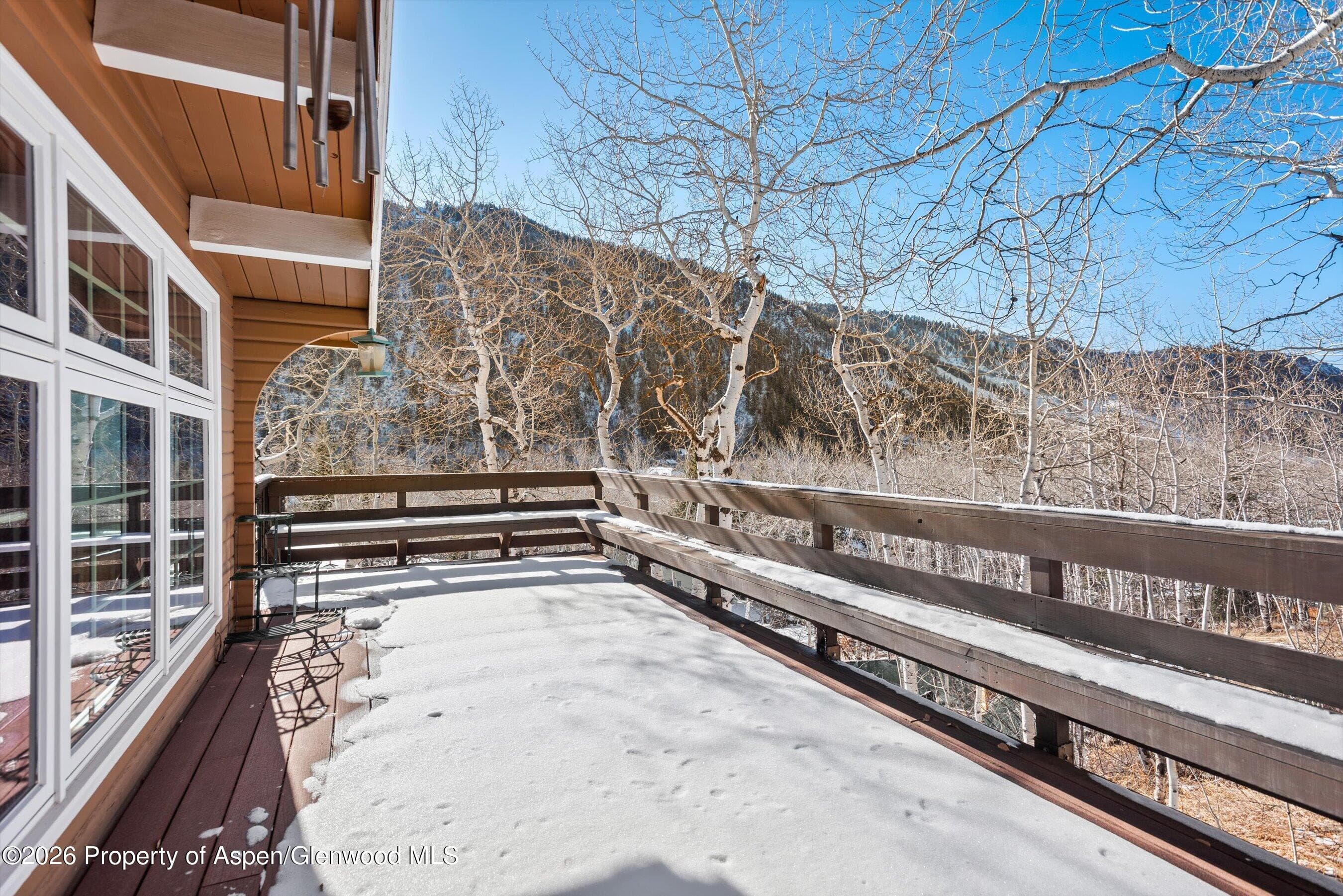 246 Roaring Fork Drive, Aspen, CO 81611 - Photo 29