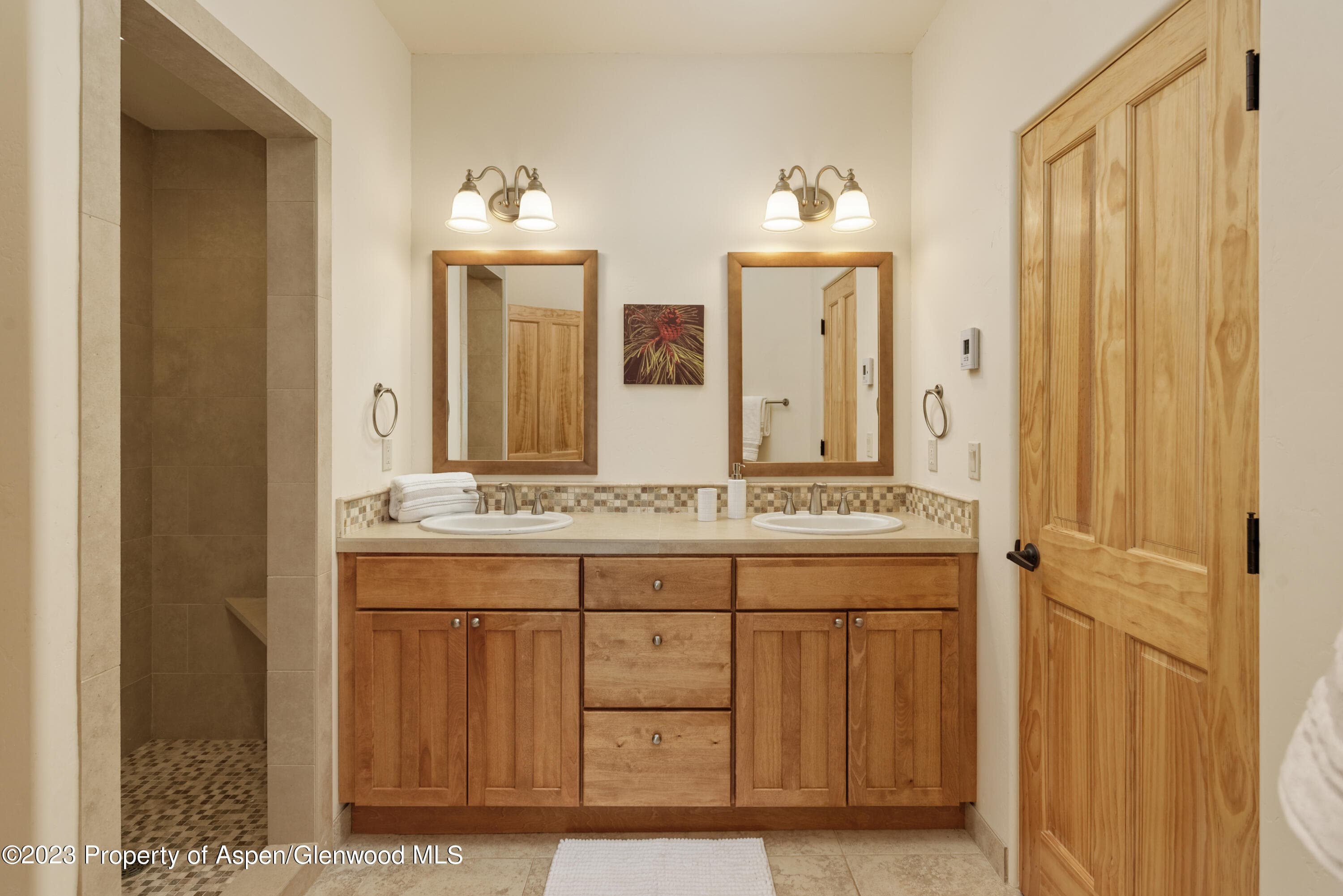 4072 Crystal Bridge Drive, Carbondale, CO 81623 - Photo 26