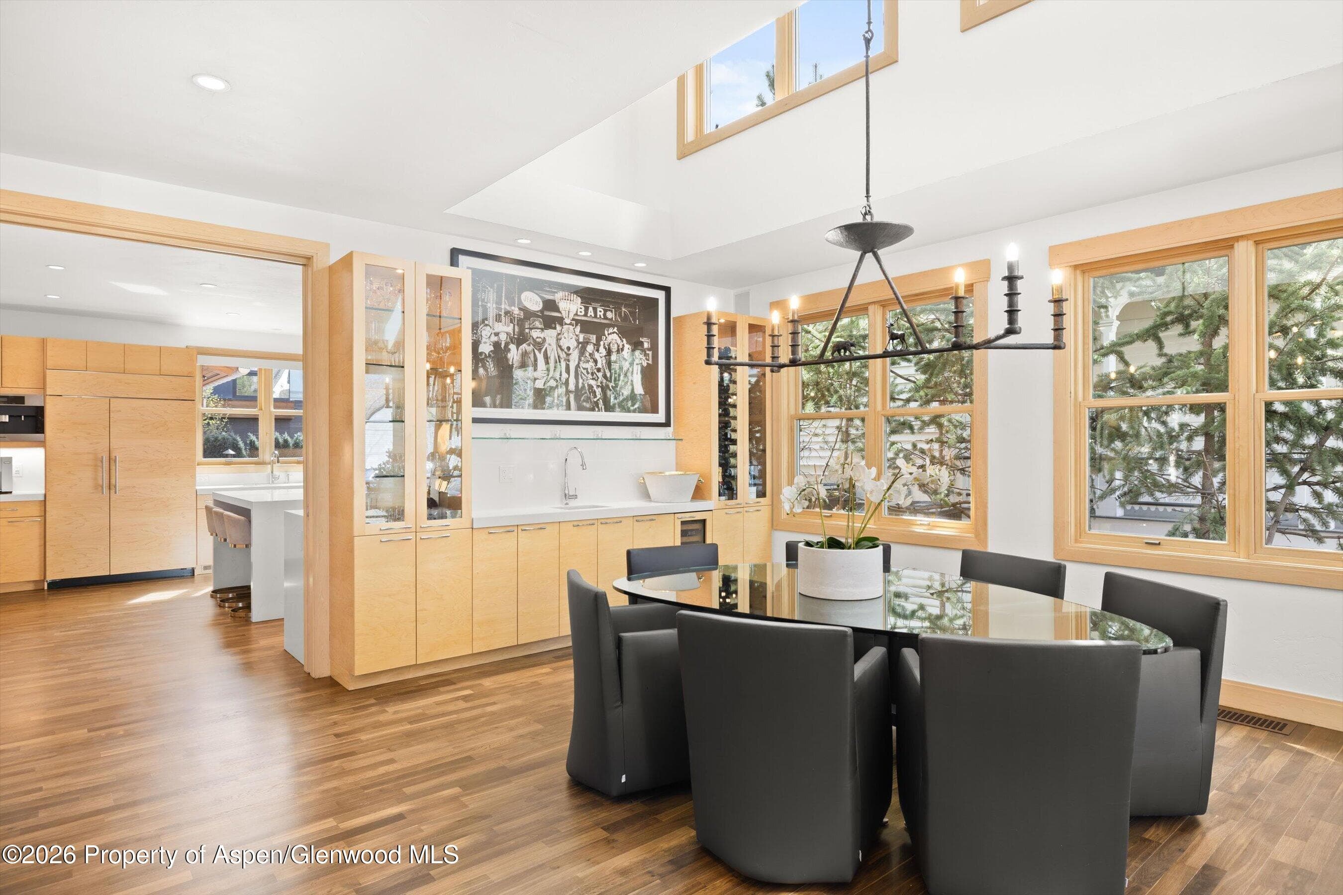 204 N Monarch Street, Aspen, CO 81611 - Photo 4
