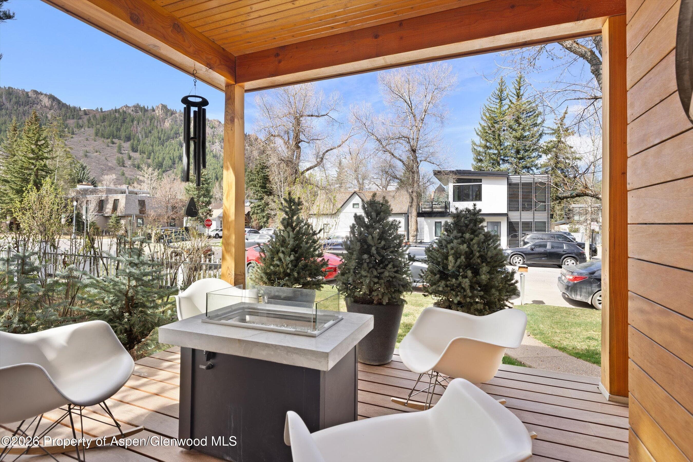 204 N Monarch Street, Aspen, CO 81611 - Photo 27