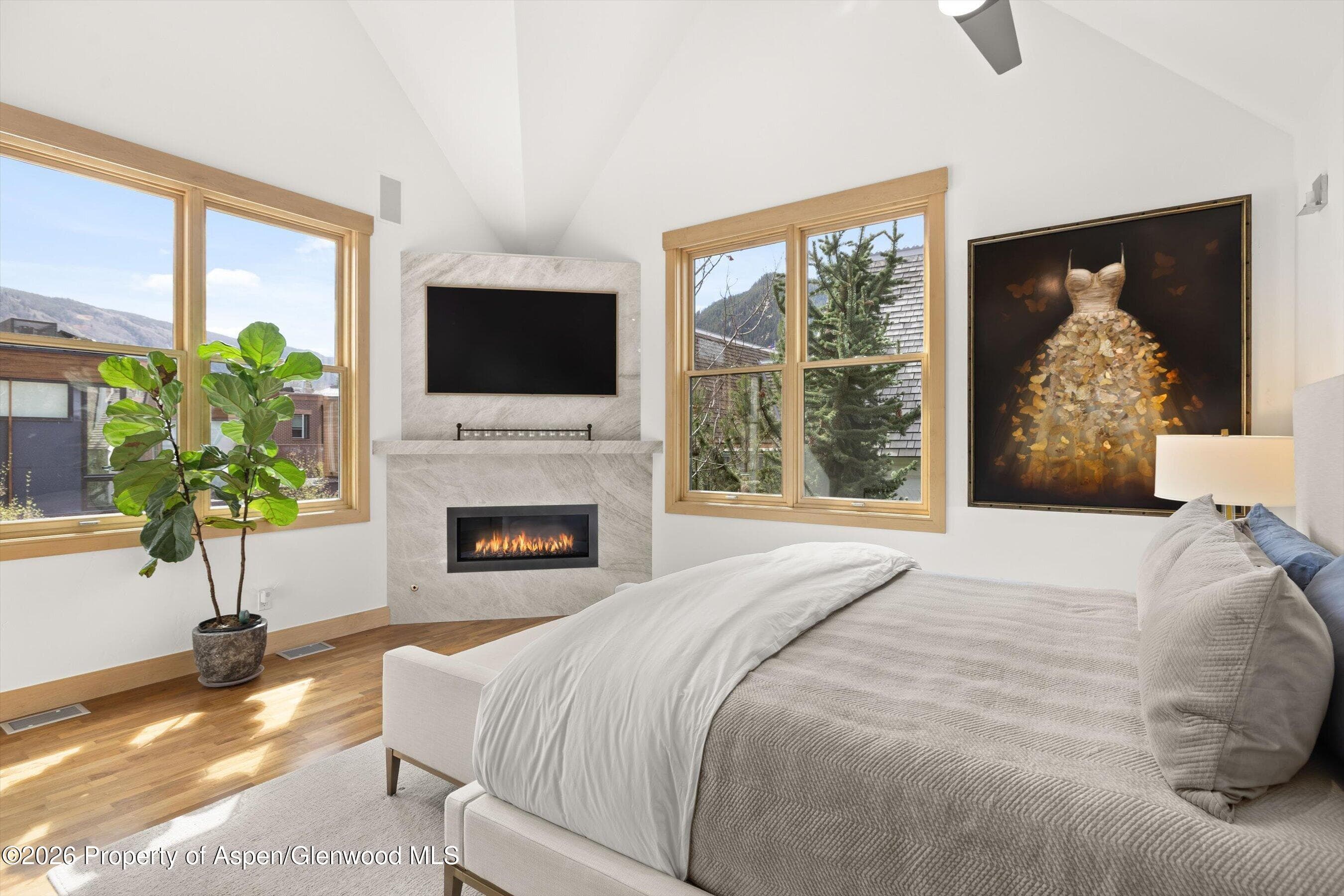 204 N Monarch Street, Aspen, CO 81611 - Photo 8