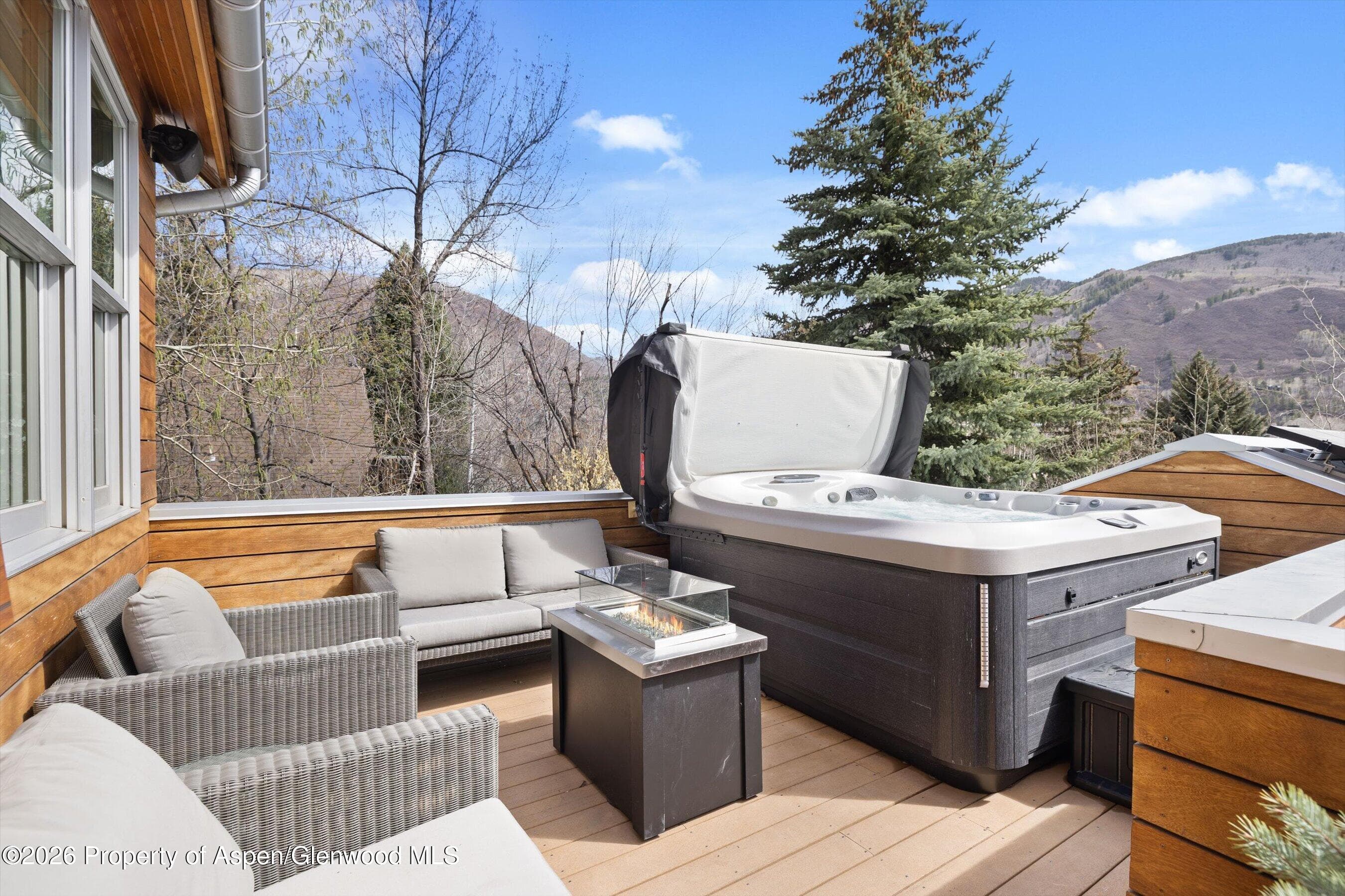 204 N Monarch Street, Aspen, CO 81611 - Photo 11