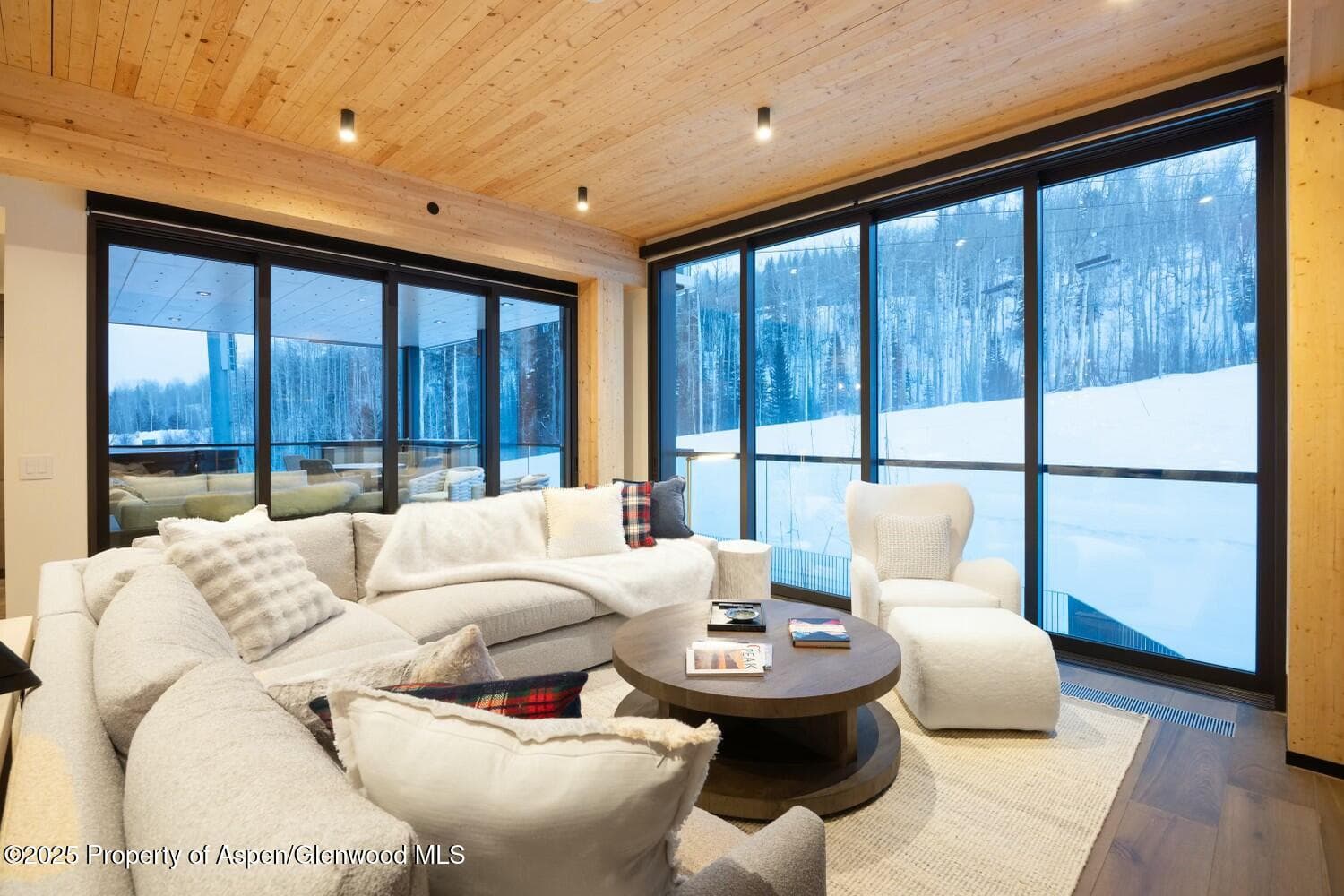 180 Wood Road 302, Snowmass Village, CO 81615 - Photo 4