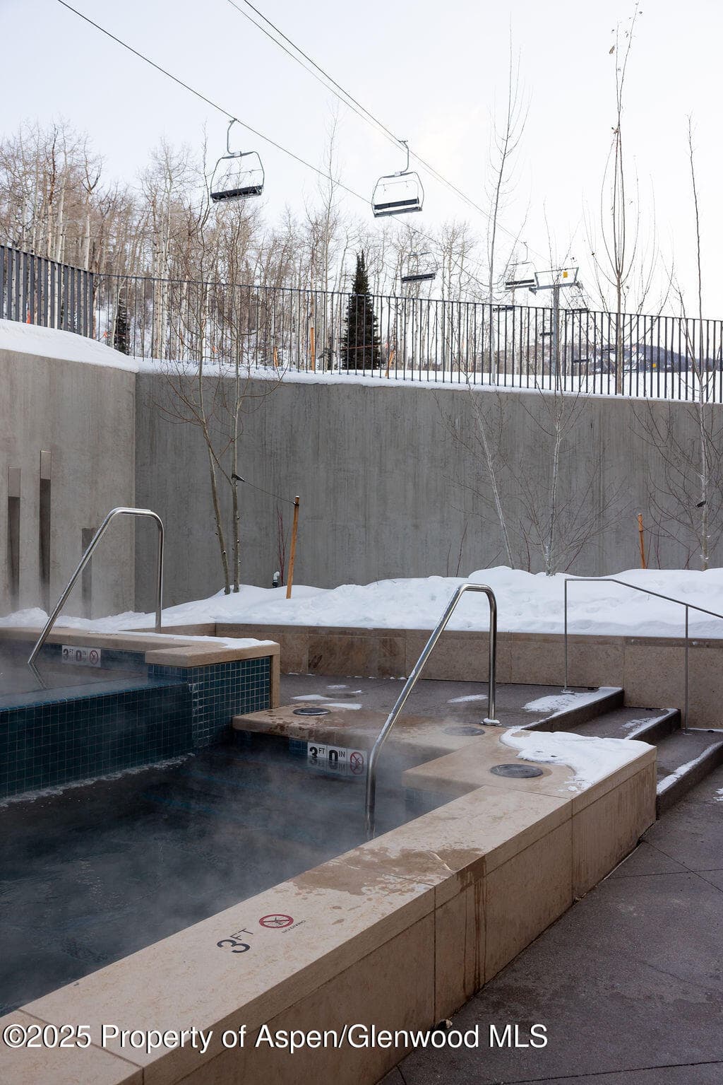 180 Wood Road 302, Snowmass Village, CO 81615 - Photo 41