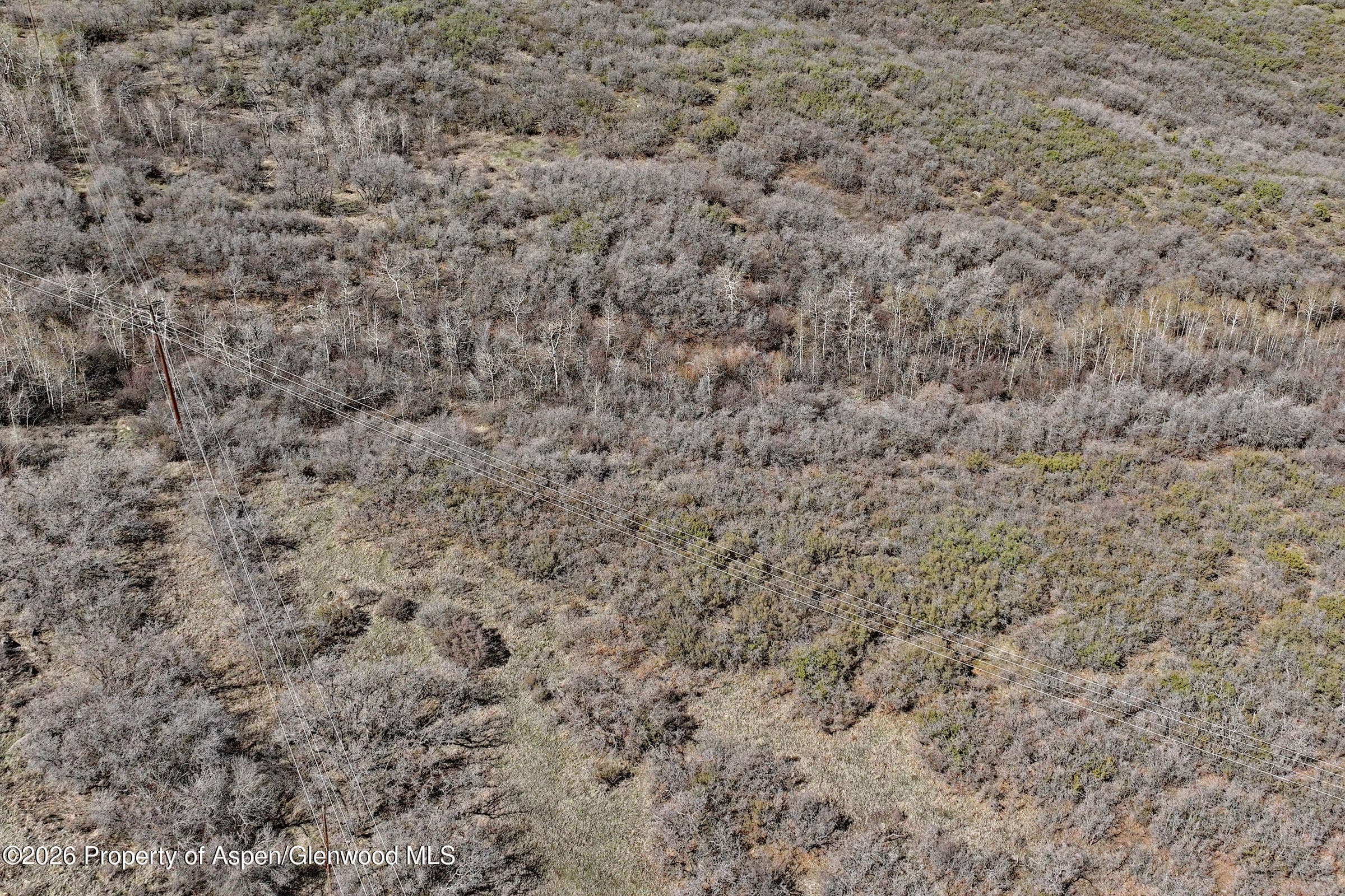 5962 Colorado 65, Mesa, CO 81643 - Photo 9