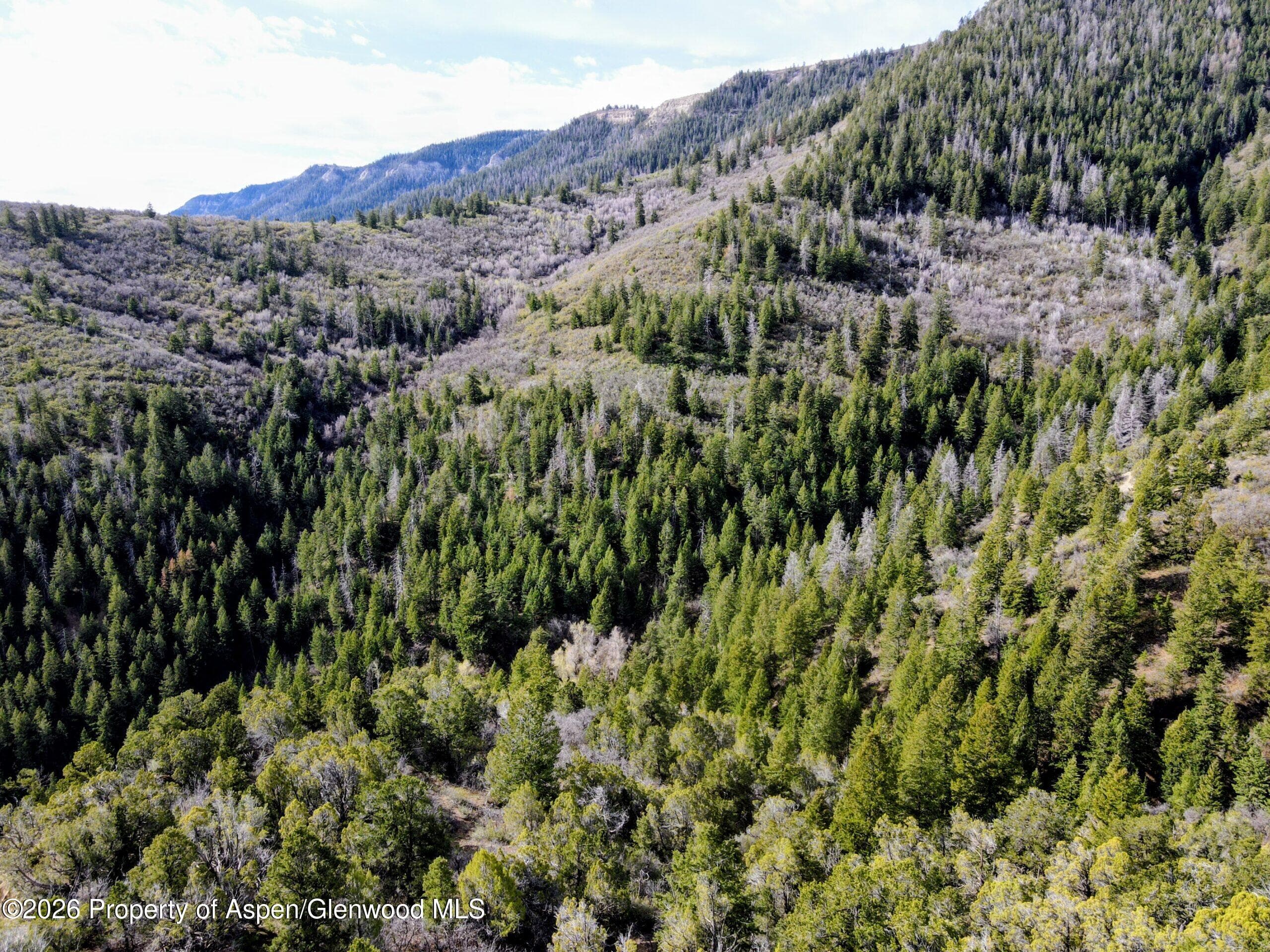 Tbd Highway 13, Rifle, CO 81650 - Photo 2