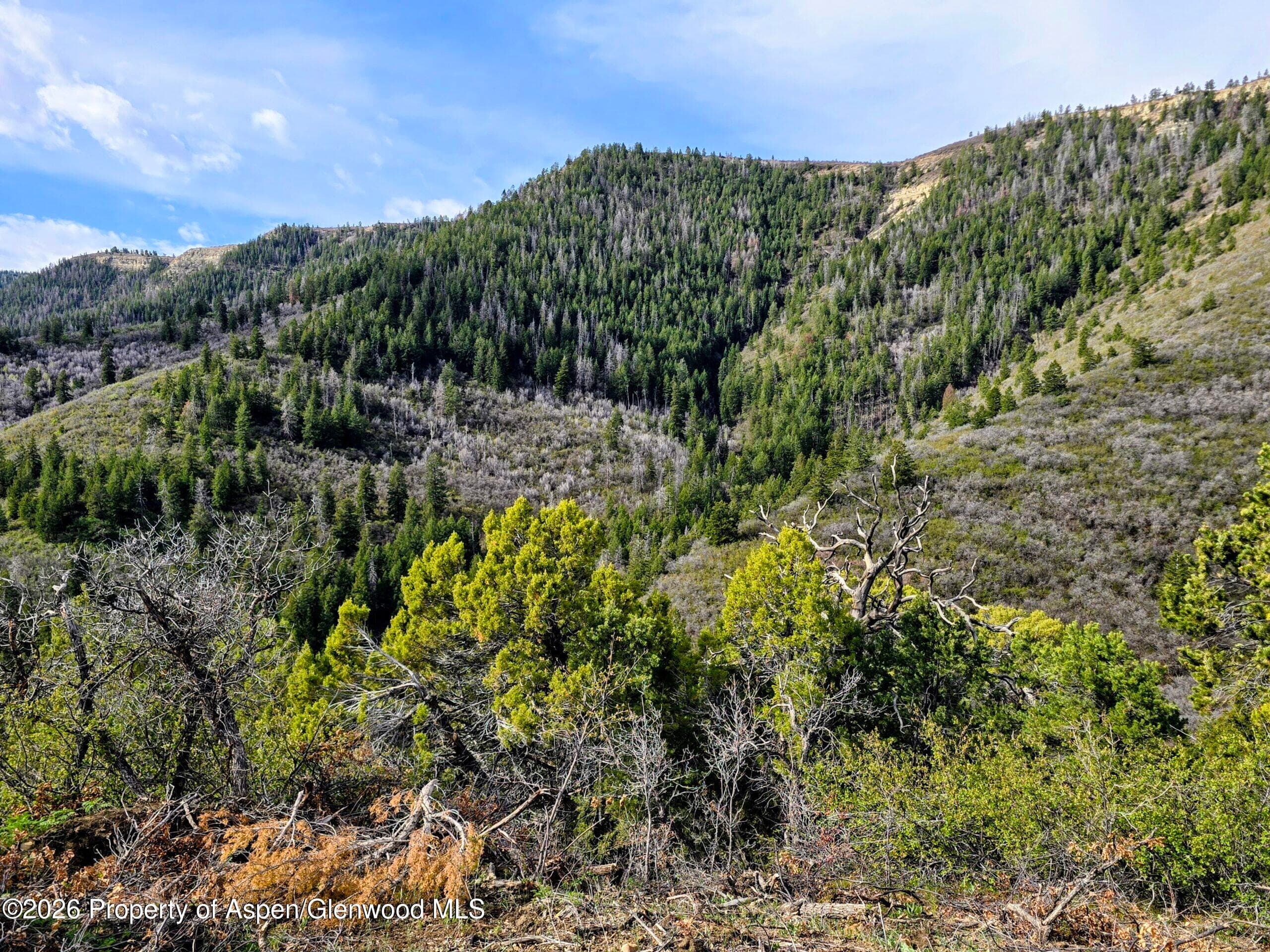 Tbd Highway 13, Rifle, CO 81650 - Photo 6