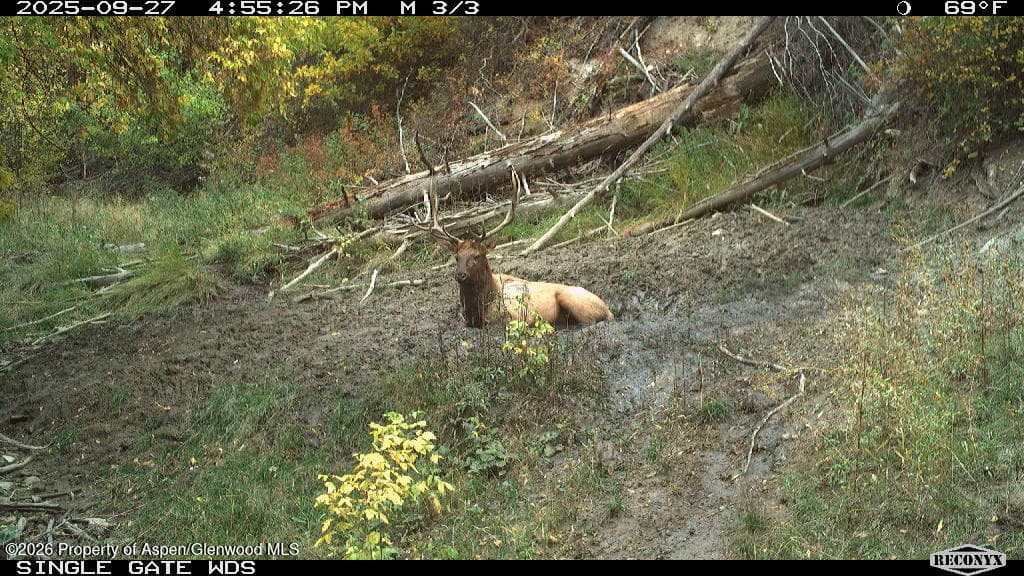 Tbd Highway 13, Rifle, CO 81650 - Photo 7