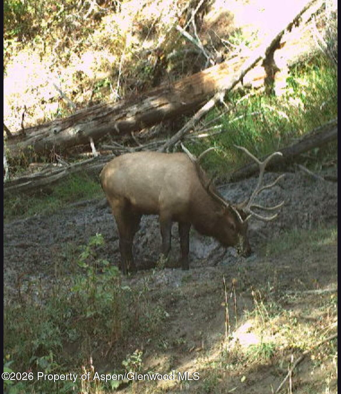 Tbd Highway 13, Rifle, CO 81650 - Photo 12