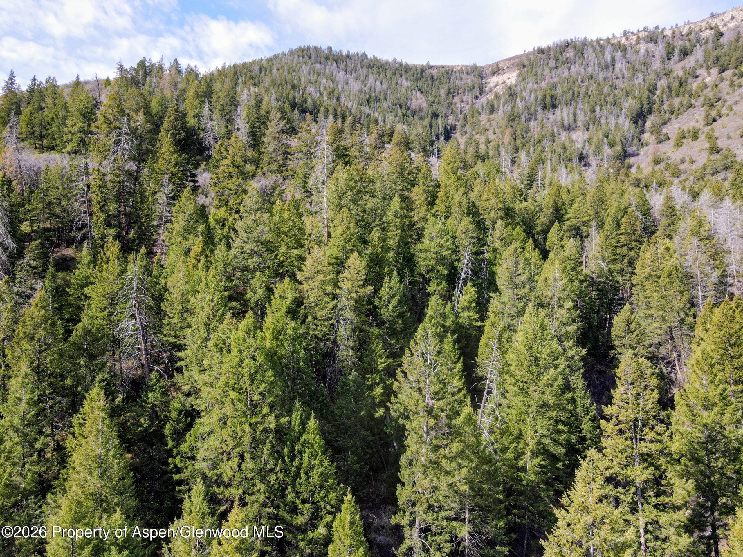 Tbd Highway 13, Rifle, CO 81650 - Photo 15
