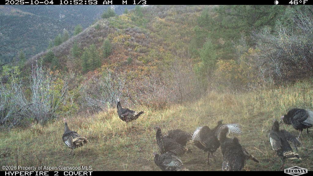 Tbd Highway 13, Rifle, CO 81650 - Photo 22