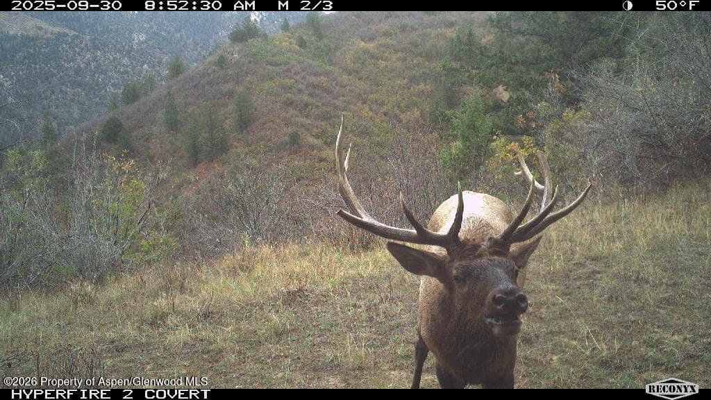 Tbd Highway 13, Rifle, CO 81650 - Photo 23
