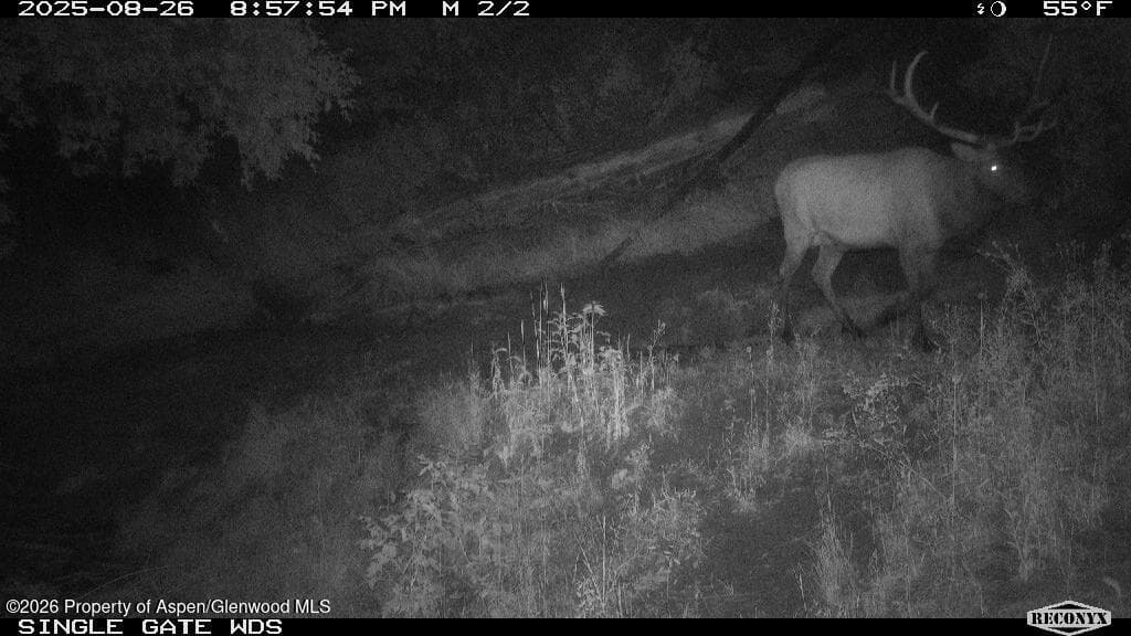 Tbd Highway 13, Rifle, CO 81650 - Photo 24