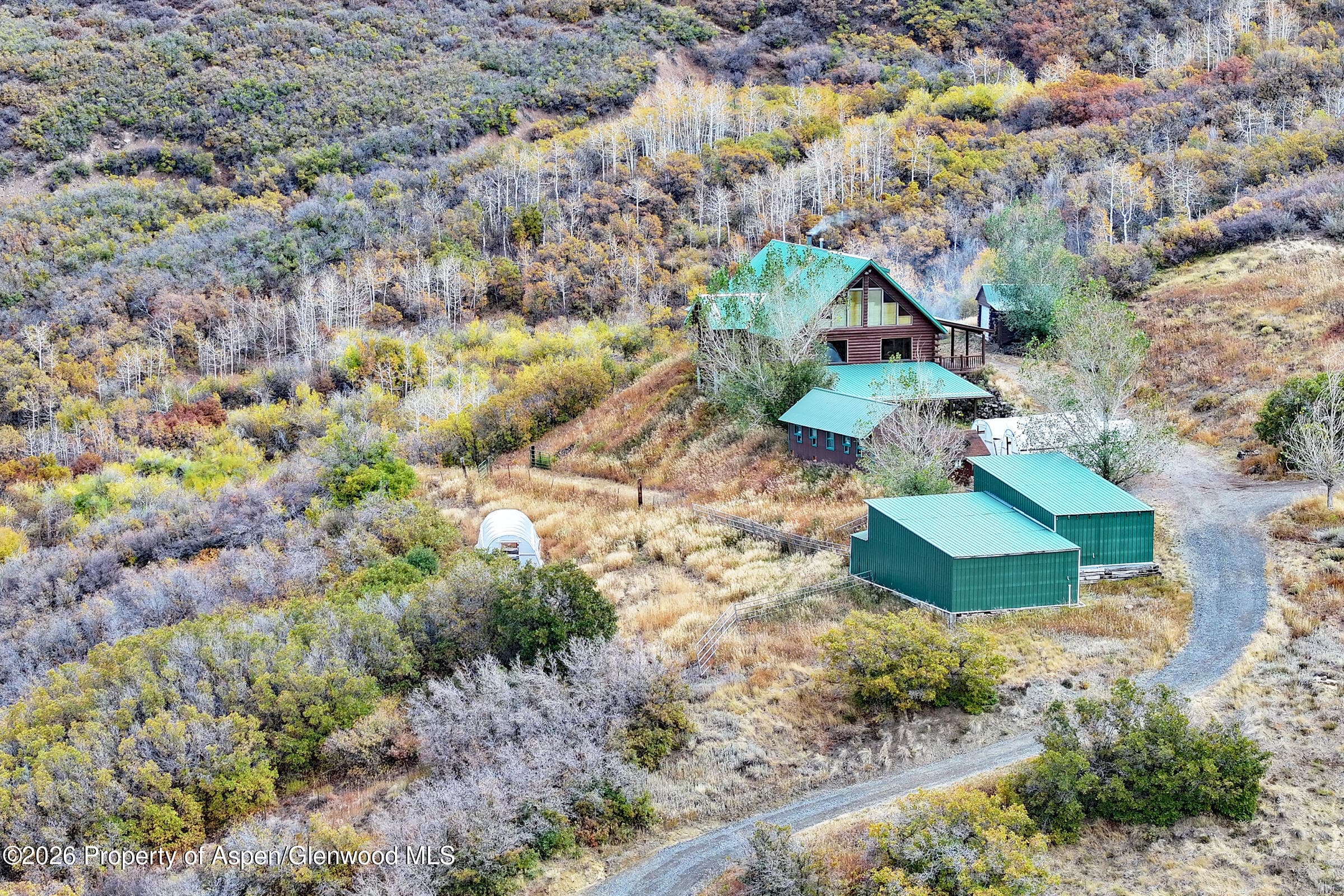 10822 60 3/4 Road, Collbran, CO 81624 - Photo 36