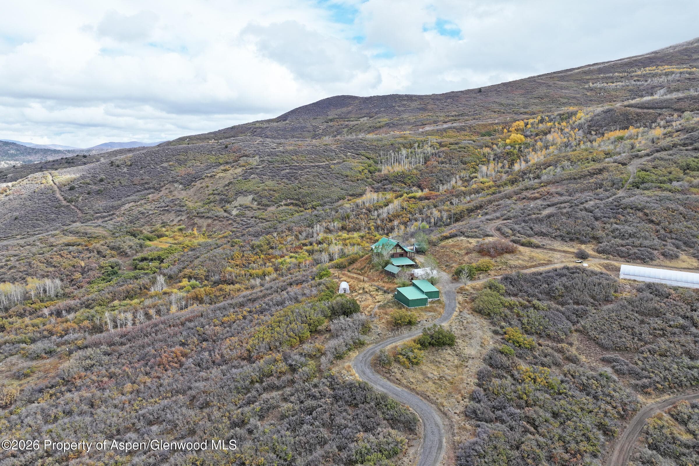 10822 60 3/4 Road, Collbran, CO 81624 - Photo 44