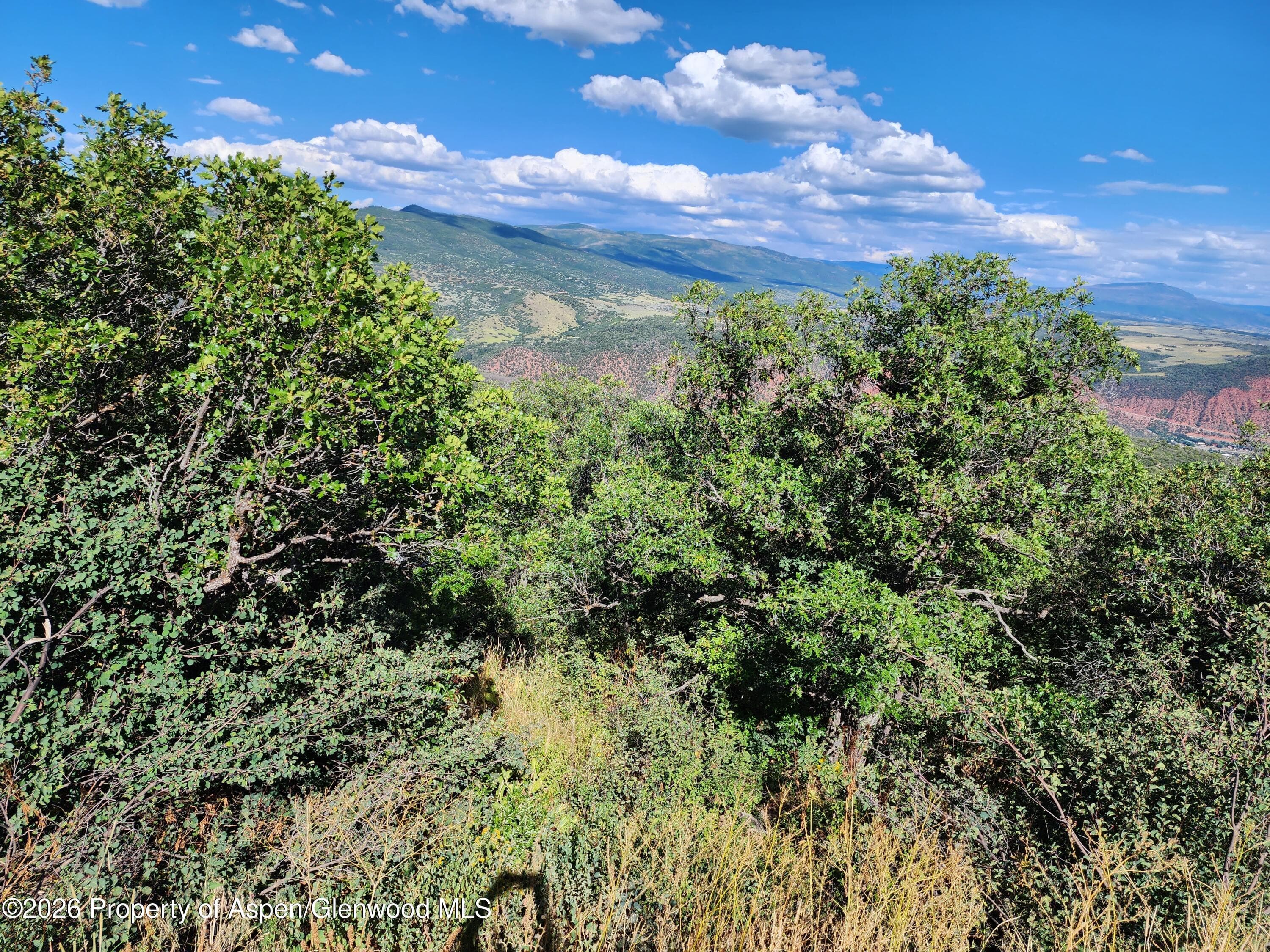 4700 Bear Wallow Lane, Glenwood Springs, CO 81601 - Photo 3