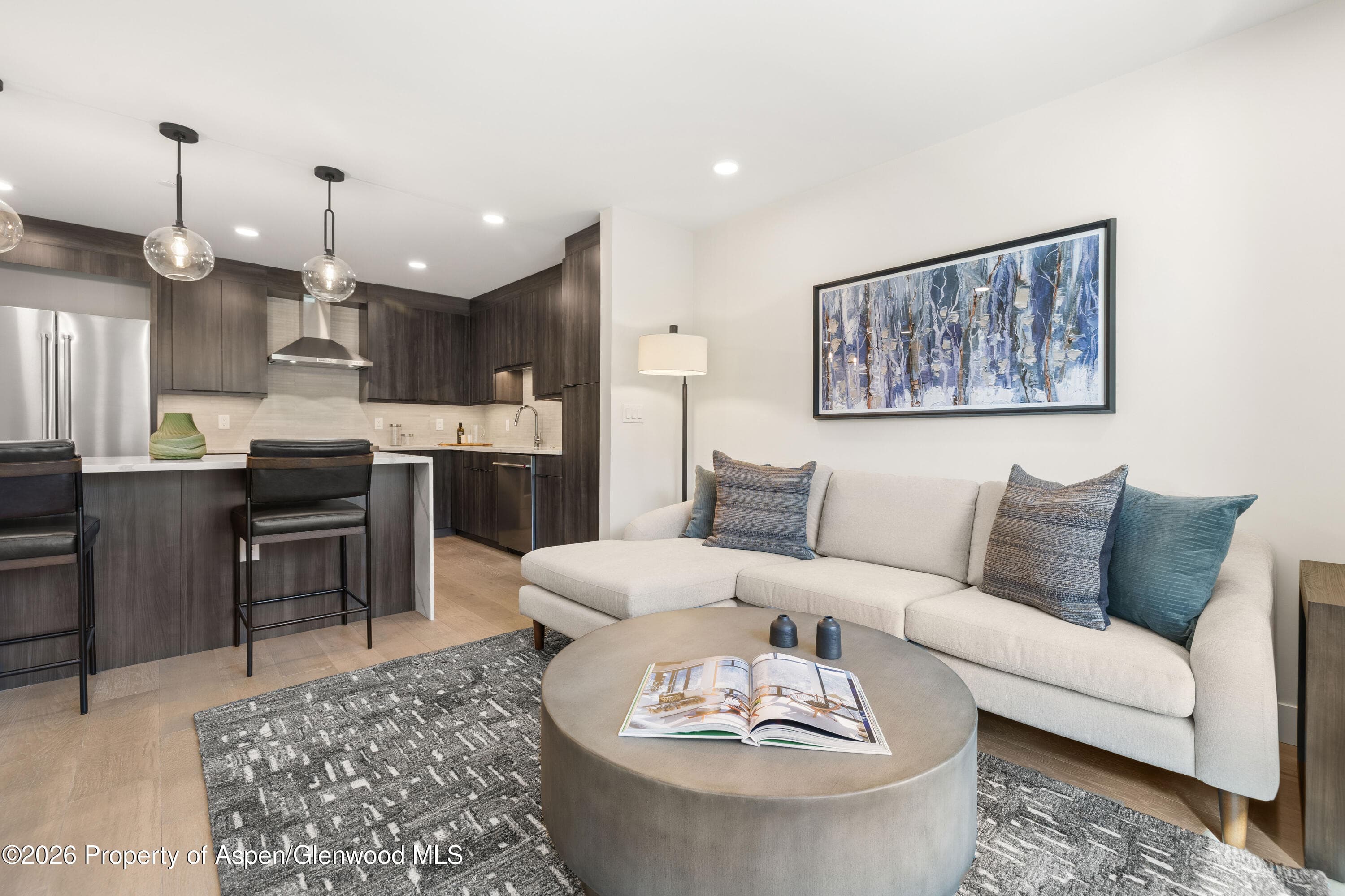 85 Kodiak Drive 320, Basalt, CO 81621 - Photo 3