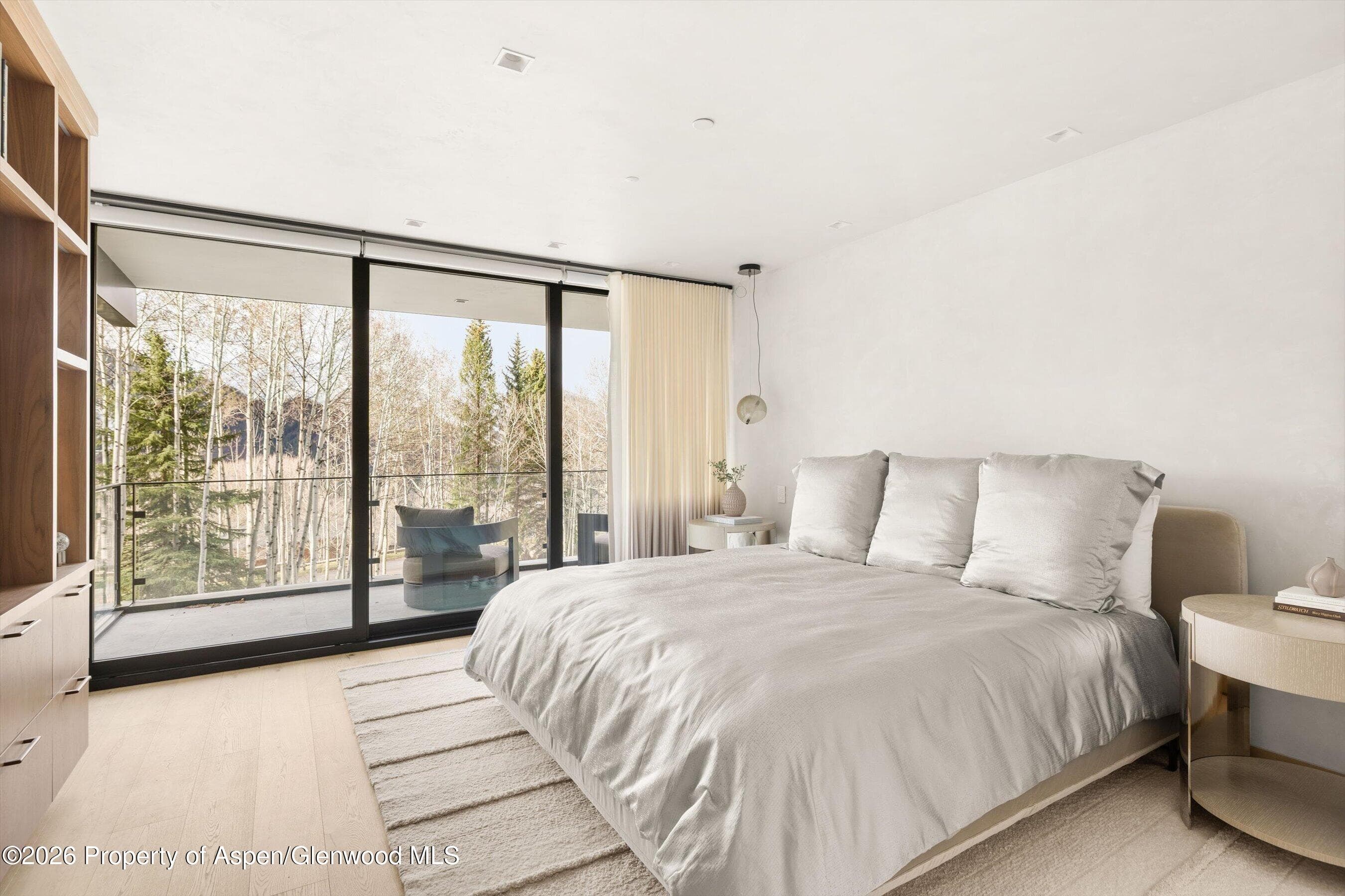 323 E Reds Road, Aspen, CO 81611 - Photo 6