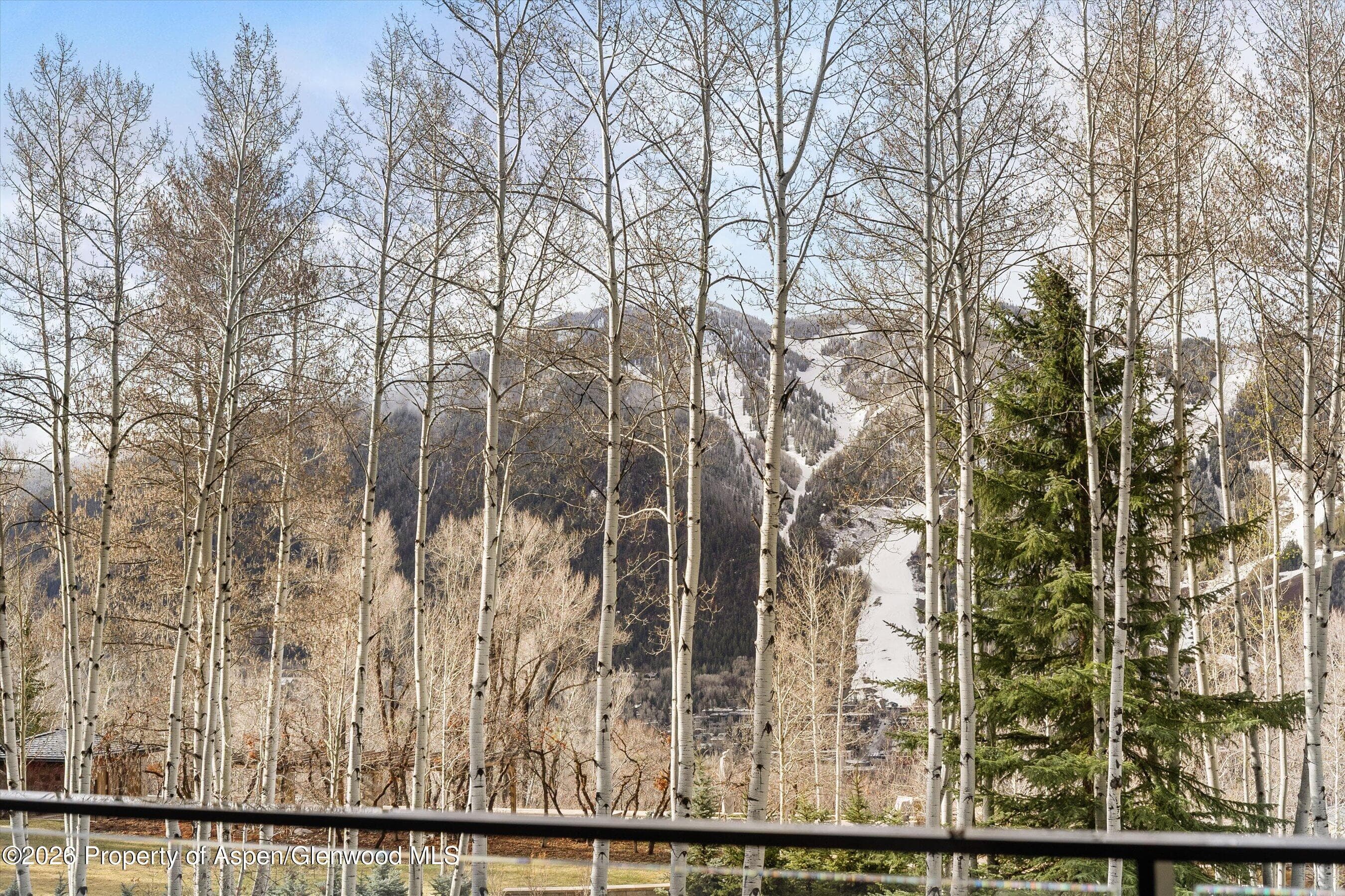 323 E Reds Road, Aspen, CO 81611 - Photo 8