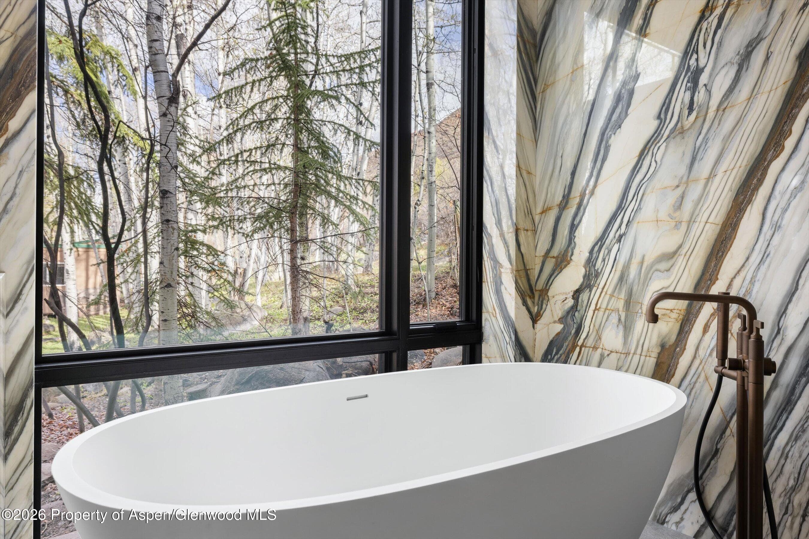 323 E Reds Road, Aspen, CO 81611 - Photo 11