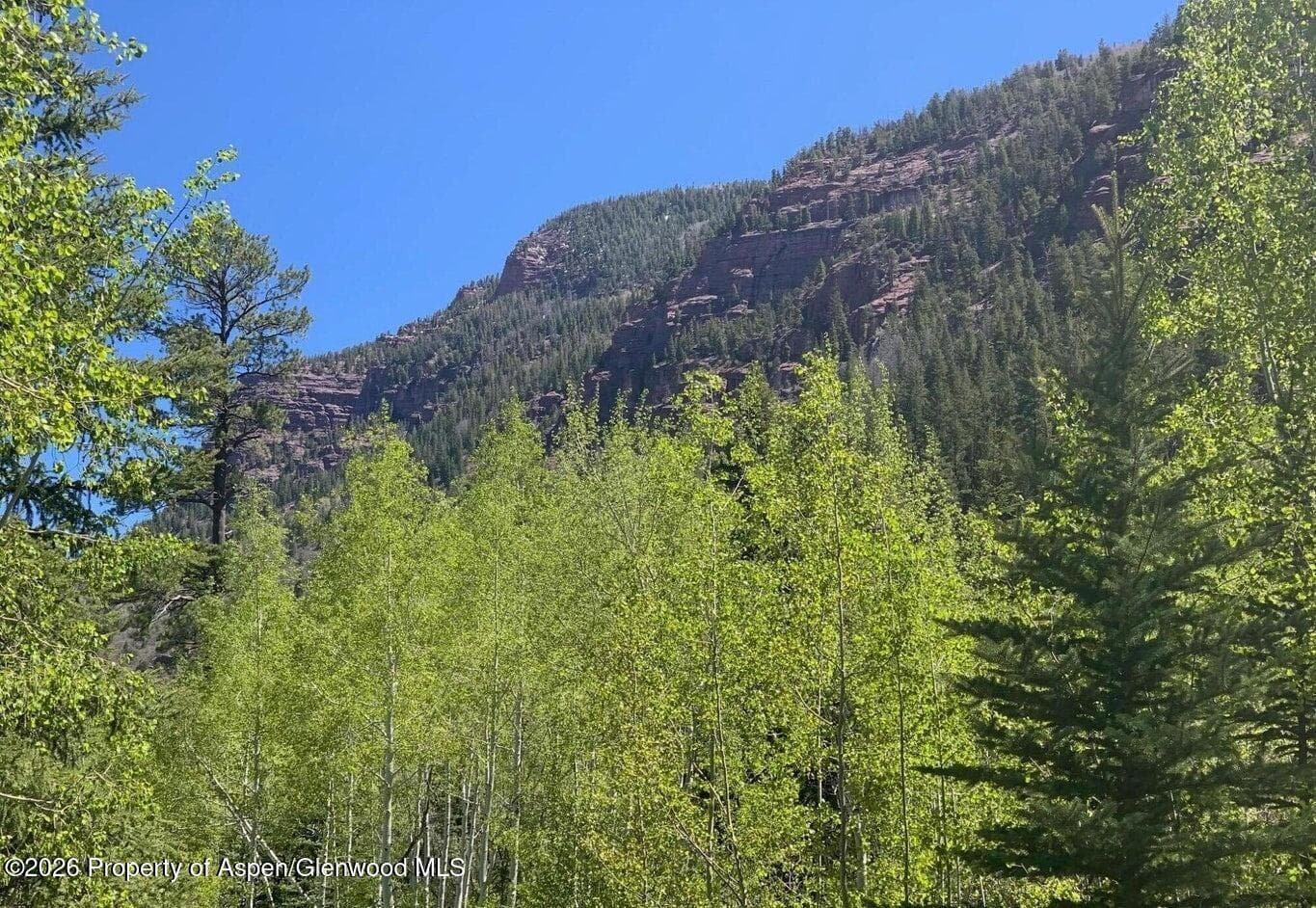250 East Creek Road, Redstone, CO 81623 - Photo 3