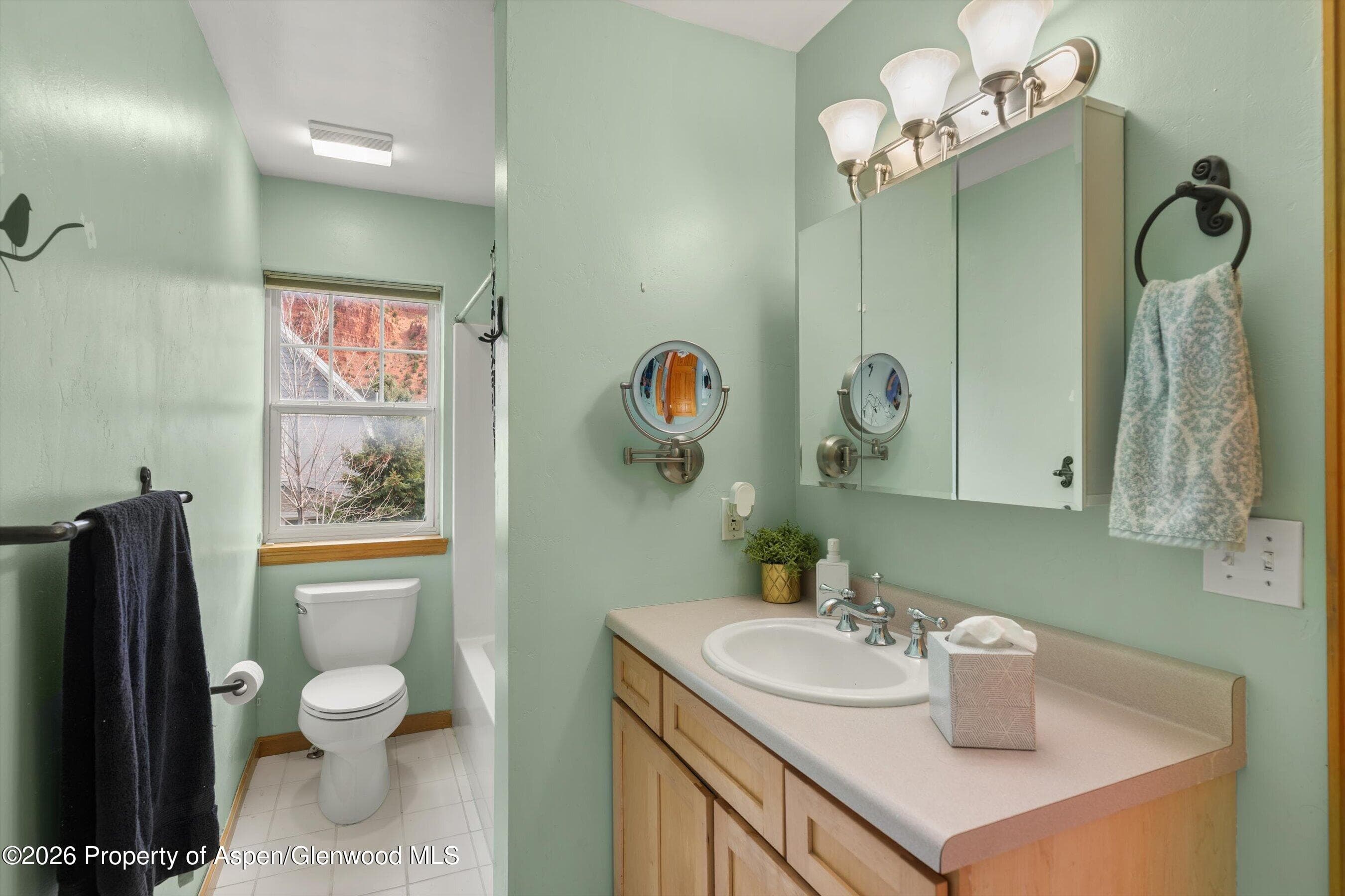 4254 Morgan Street, Glenwood Springs, CO 81601 - Photo 16