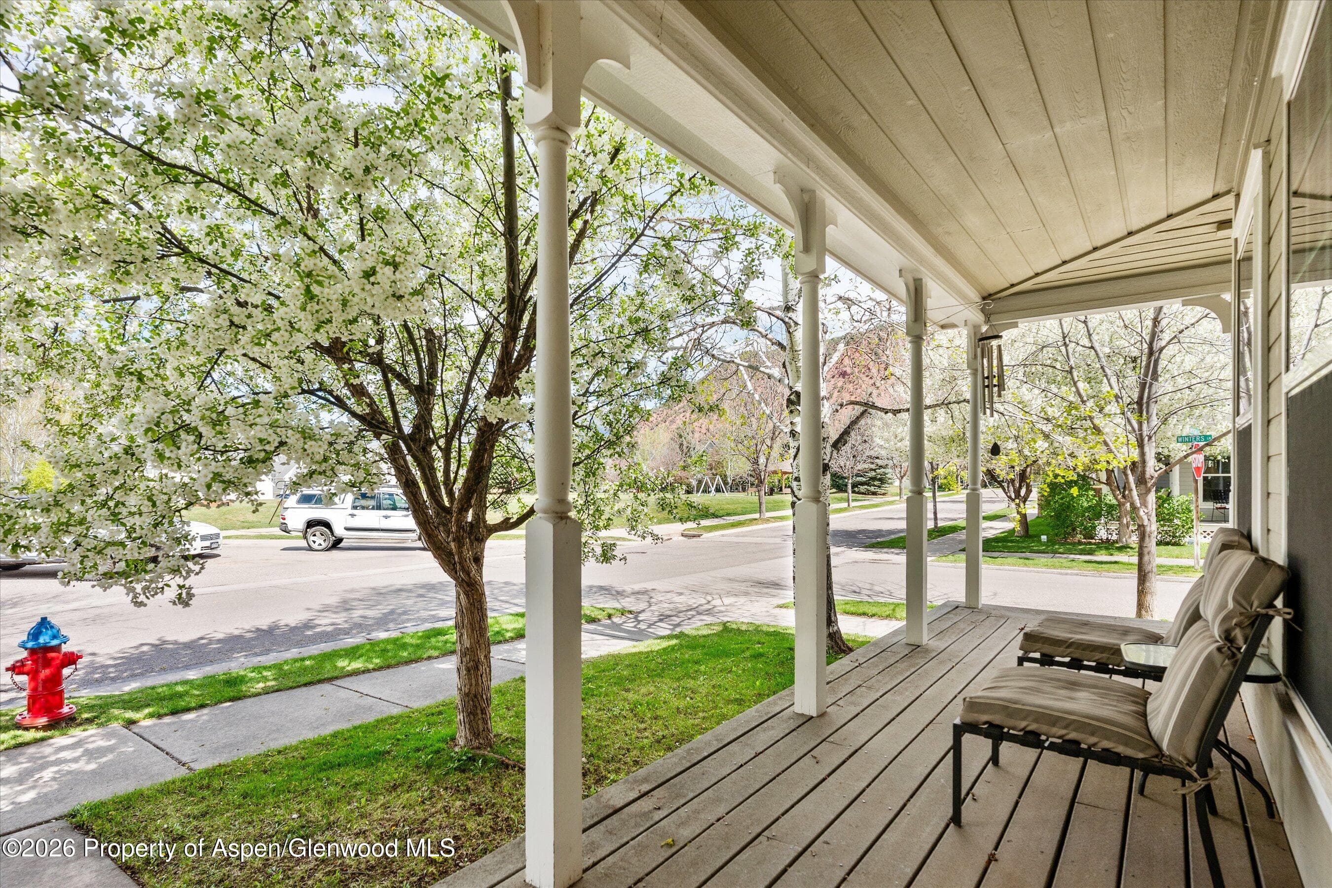 4254 Morgan Street, Glenwood Springs, CO 81601 - Photo 3