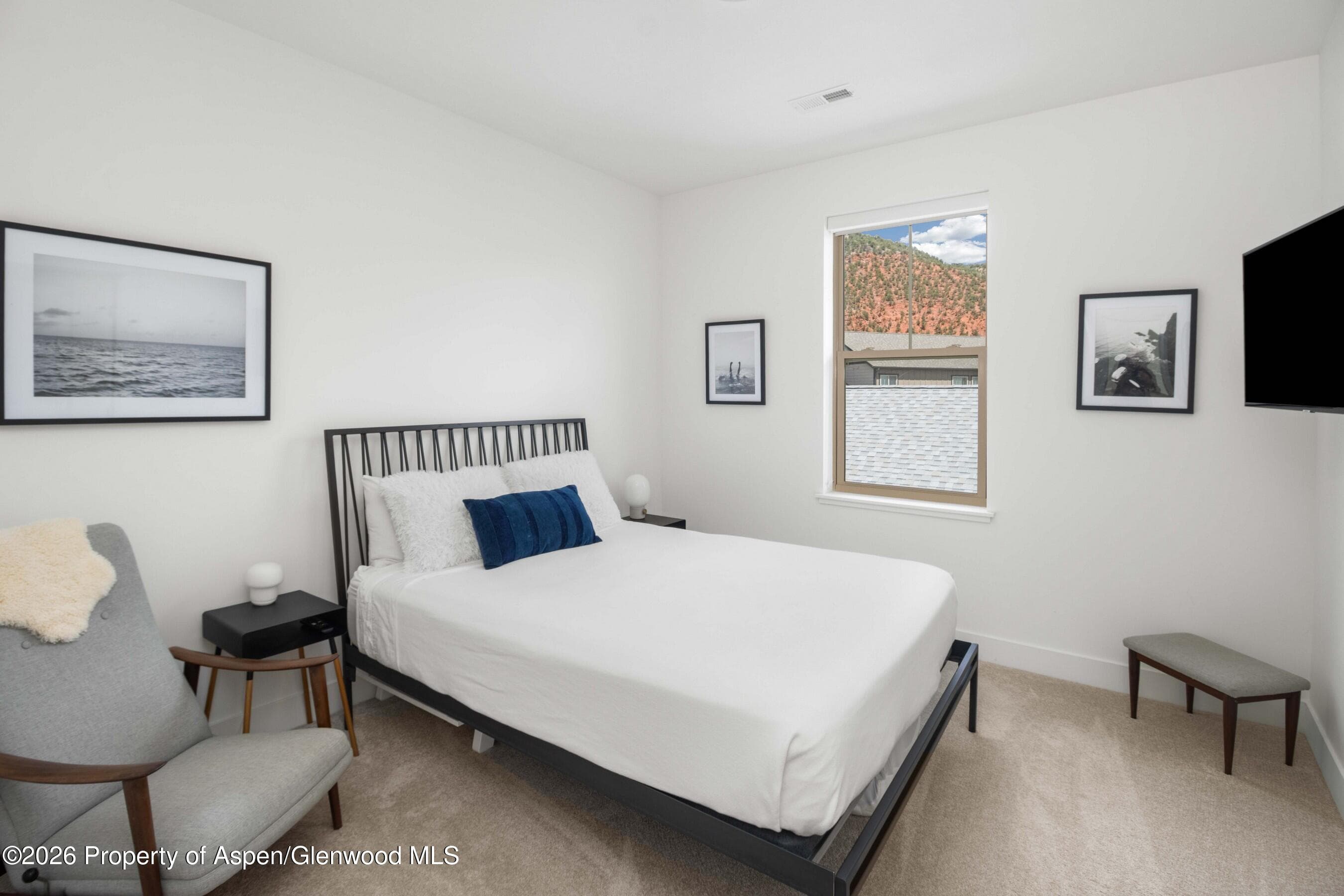 353 Blue Heron Vista, Glenwood Springs, CO 81601 - Photo 10