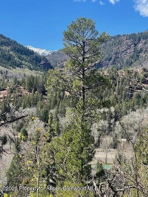 250 East Creek Road, Redstone, CO 81623 - Photo 4