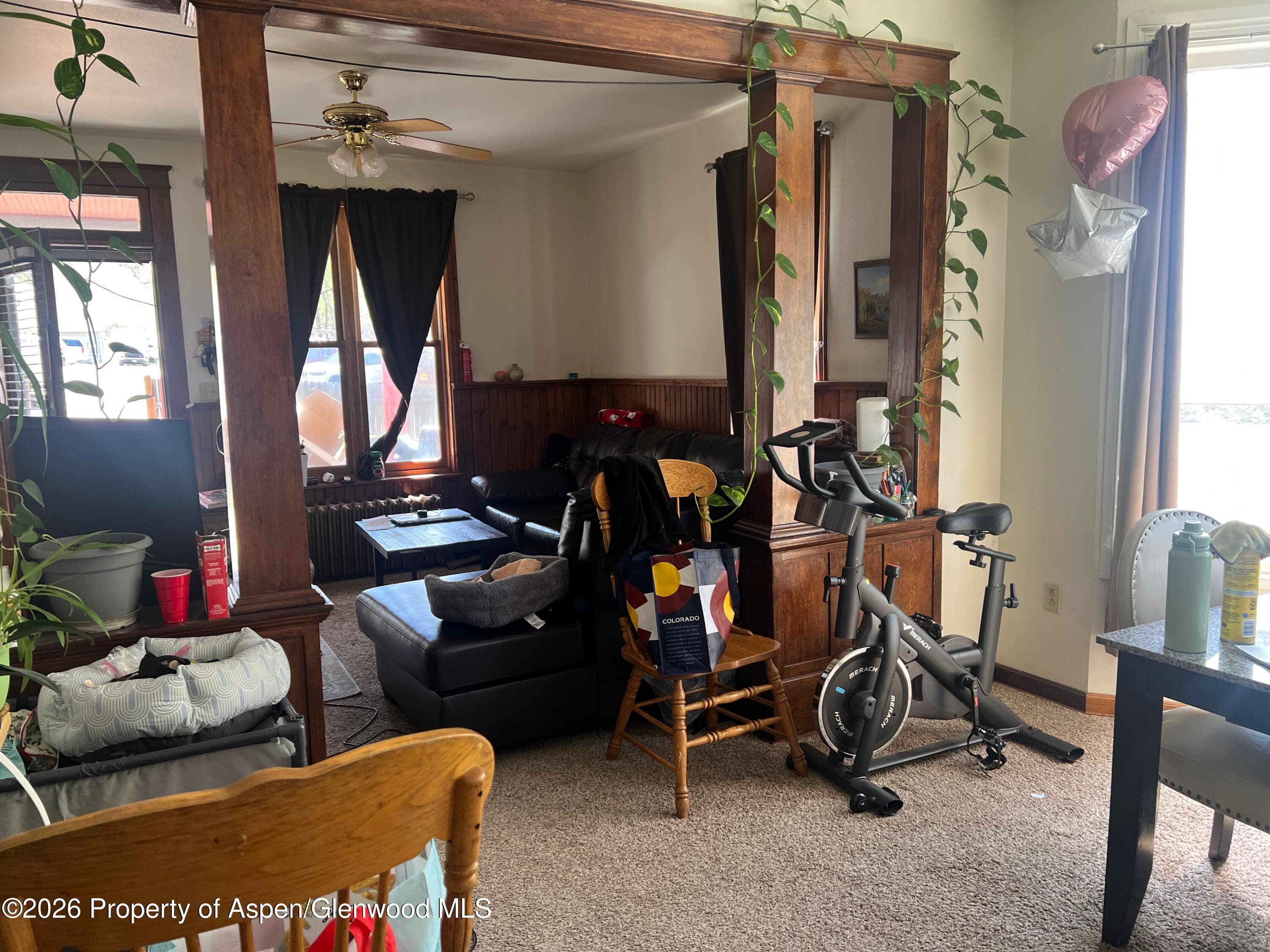221 S E Avenue, New Castle, CO 81647 - Photo 6