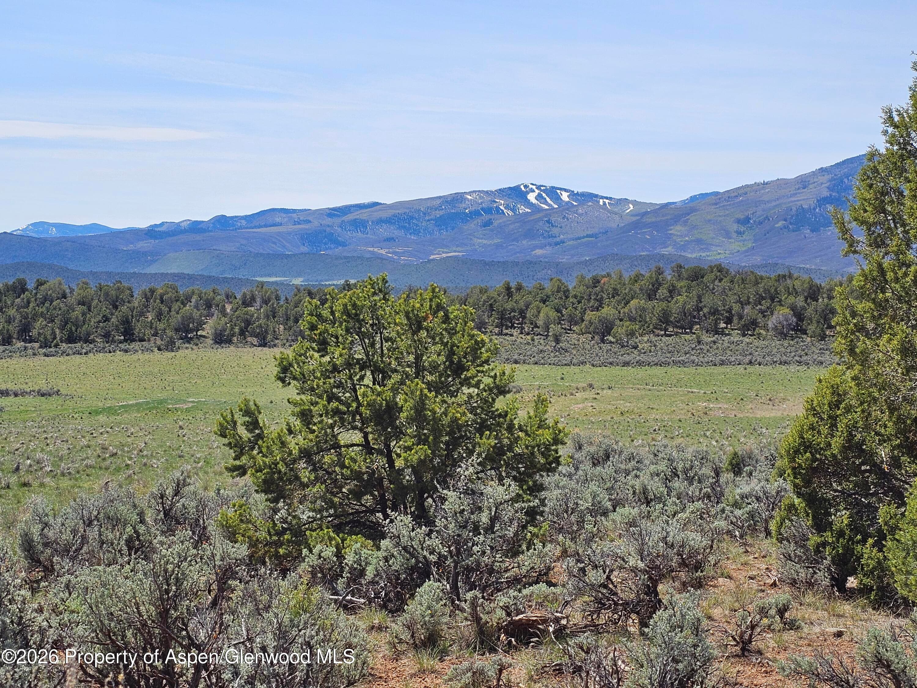 3504 Elk Springs Drive, Glenwood Springs, CO 81601 - Photo 5