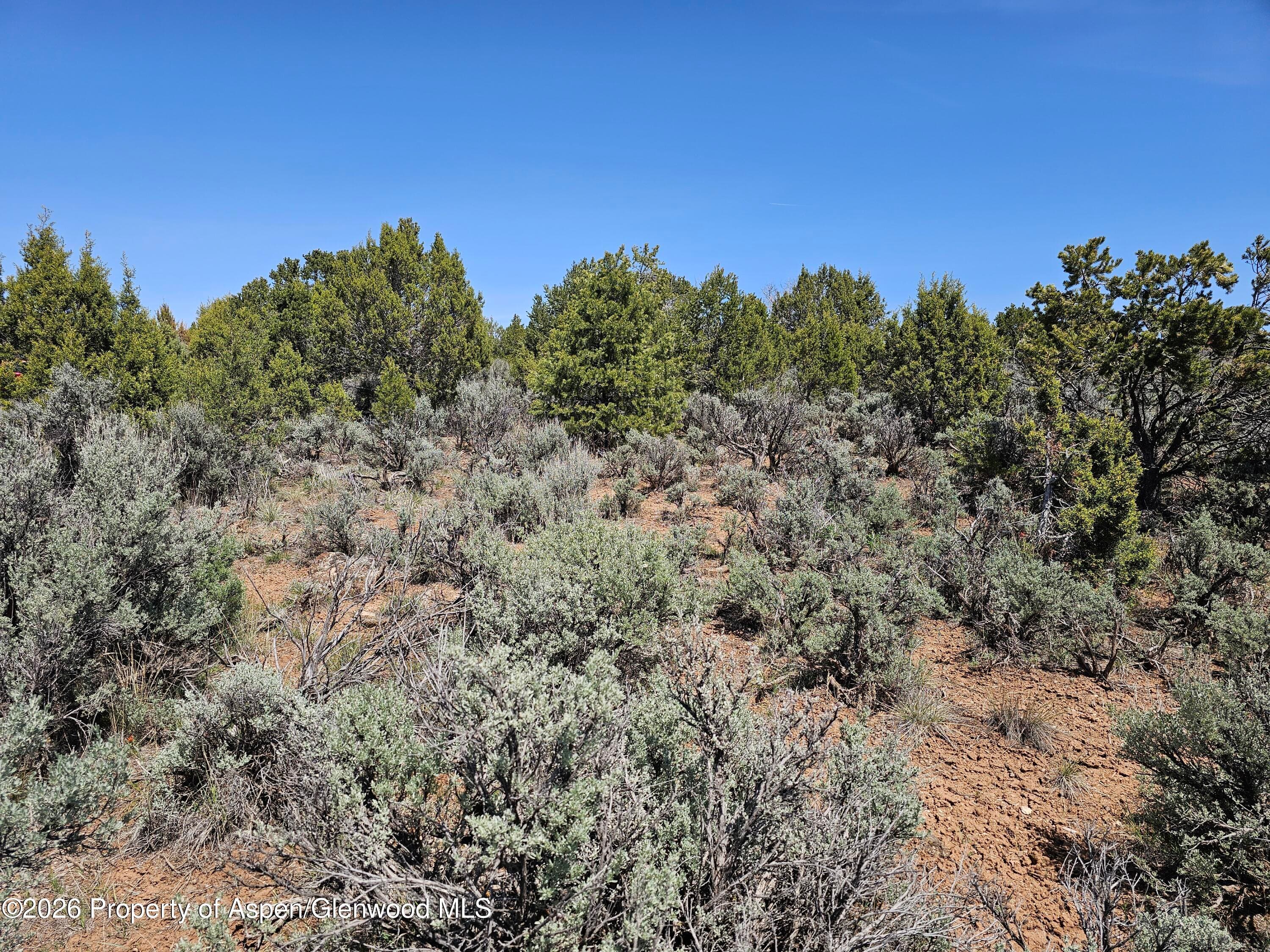 3504 Elk Springs Drive, Glenwood Springs, CO 81601 - Photo 10