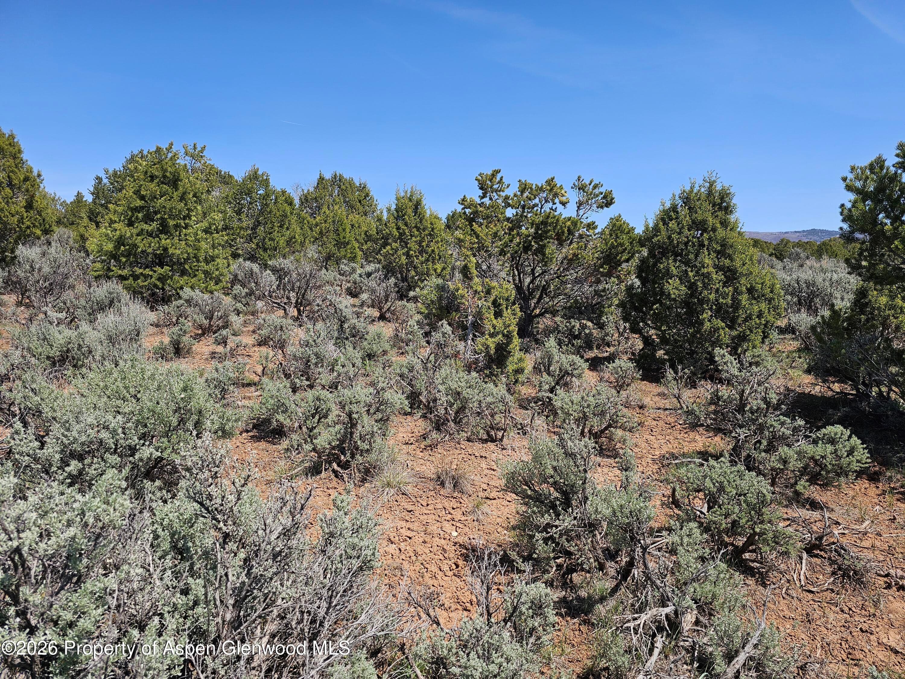 3504 Elk Springs Drive, Glenwood Springs, CO 81601 - Photo 11