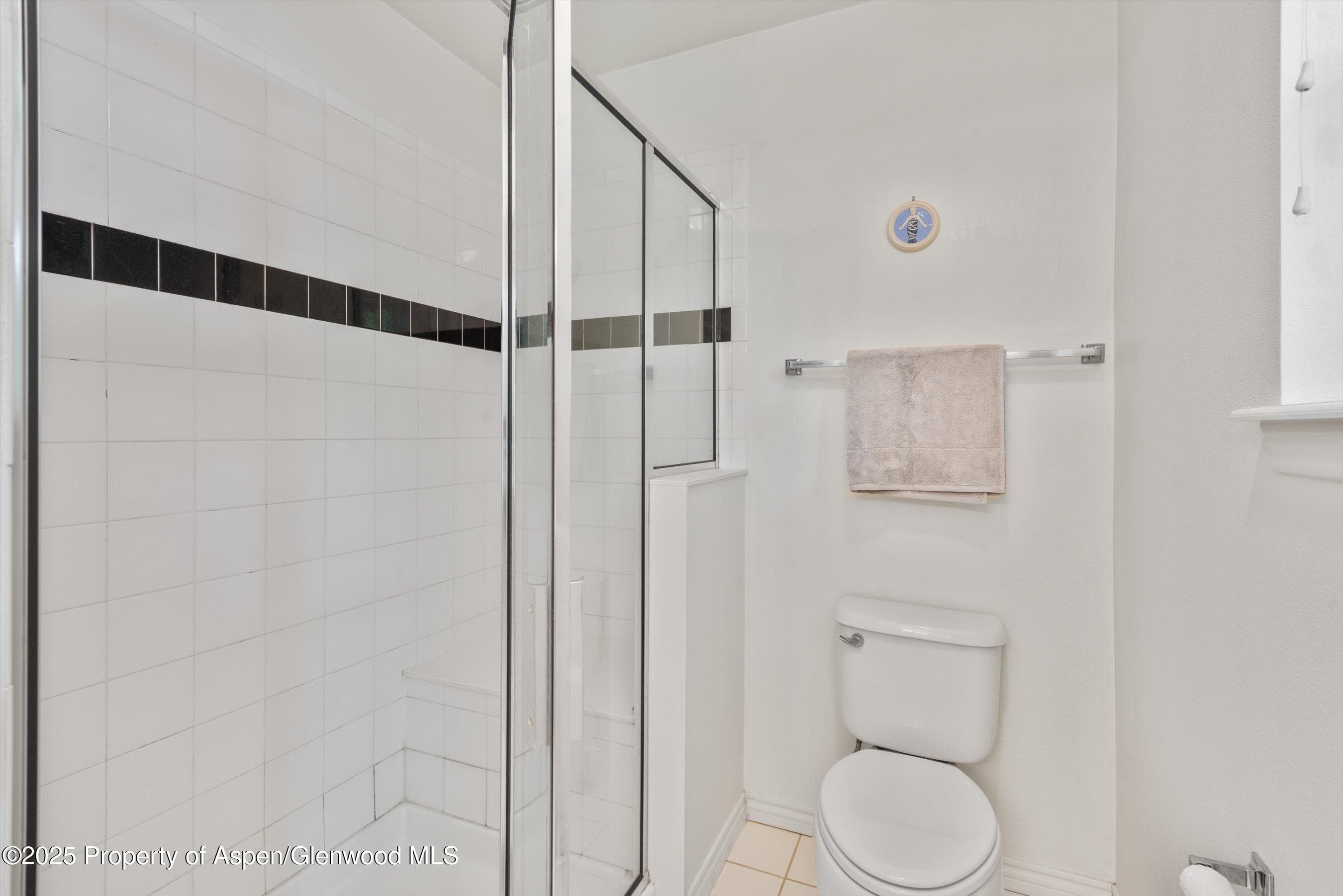 54 Ferguson Drive, Carbondale, CO 81623 - Photo 26