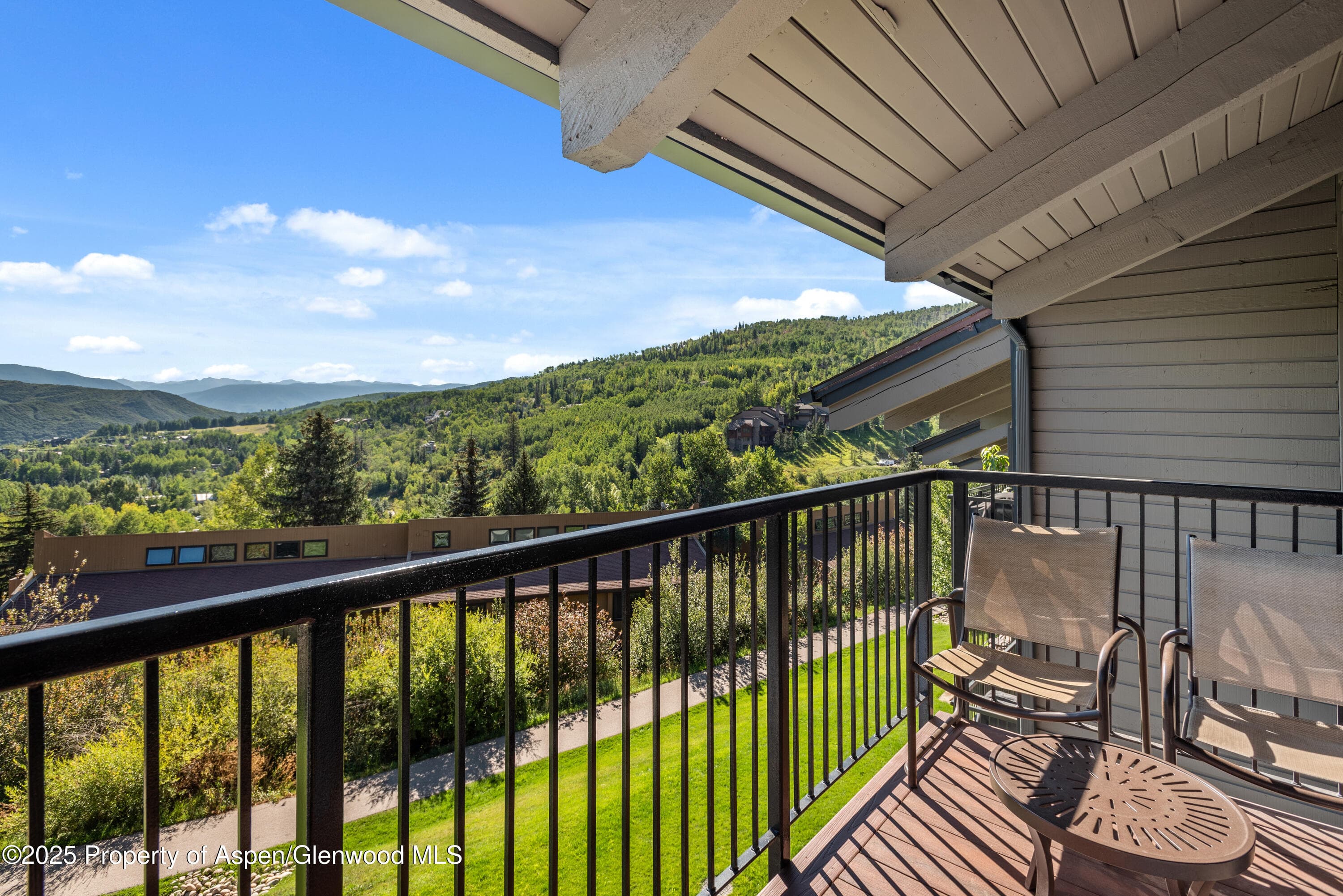 55 Upper Woodbridge Road H-5, Snowmass Village, CO 81615 - Photo 14