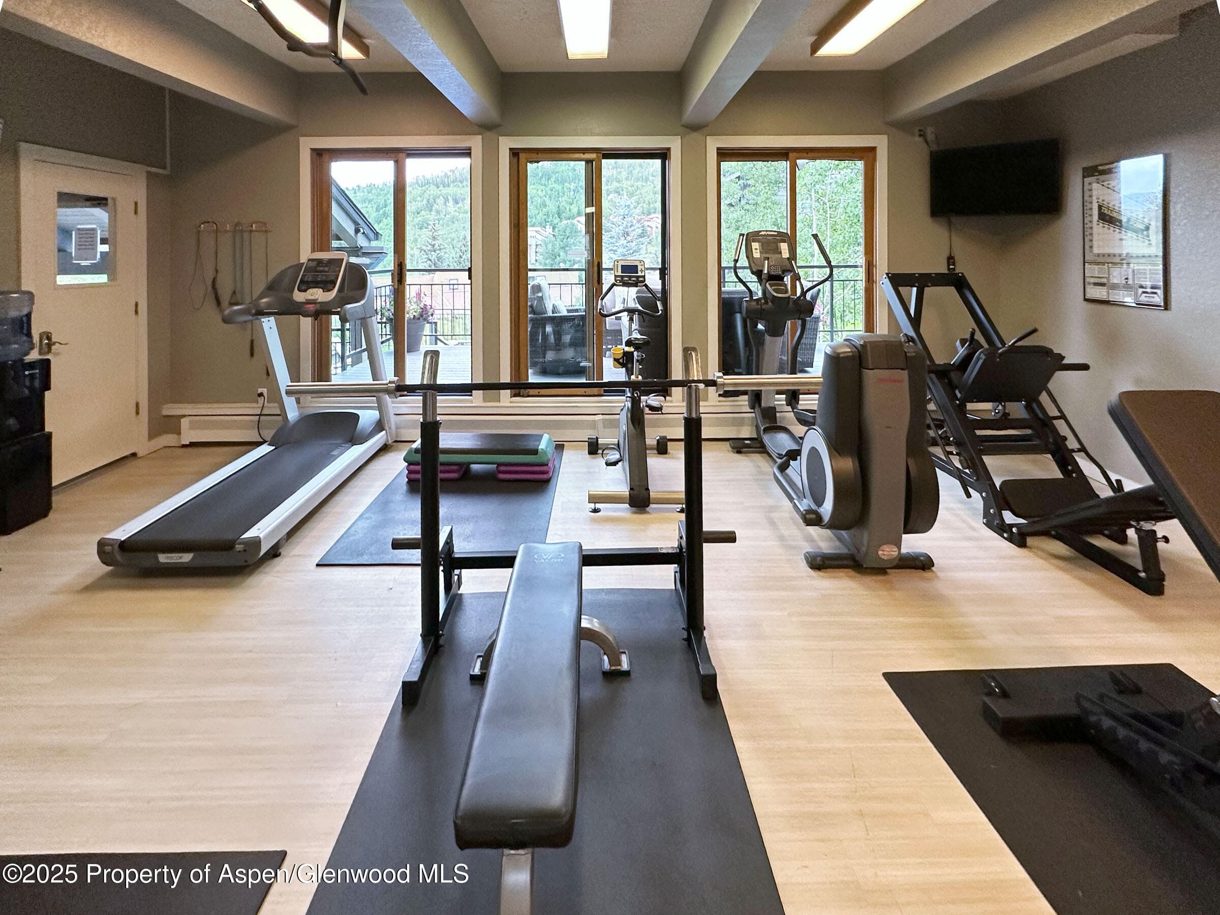 55 Upper Woodbridge Road H-5, Snowmass Village, CO 81615 - Photo 27