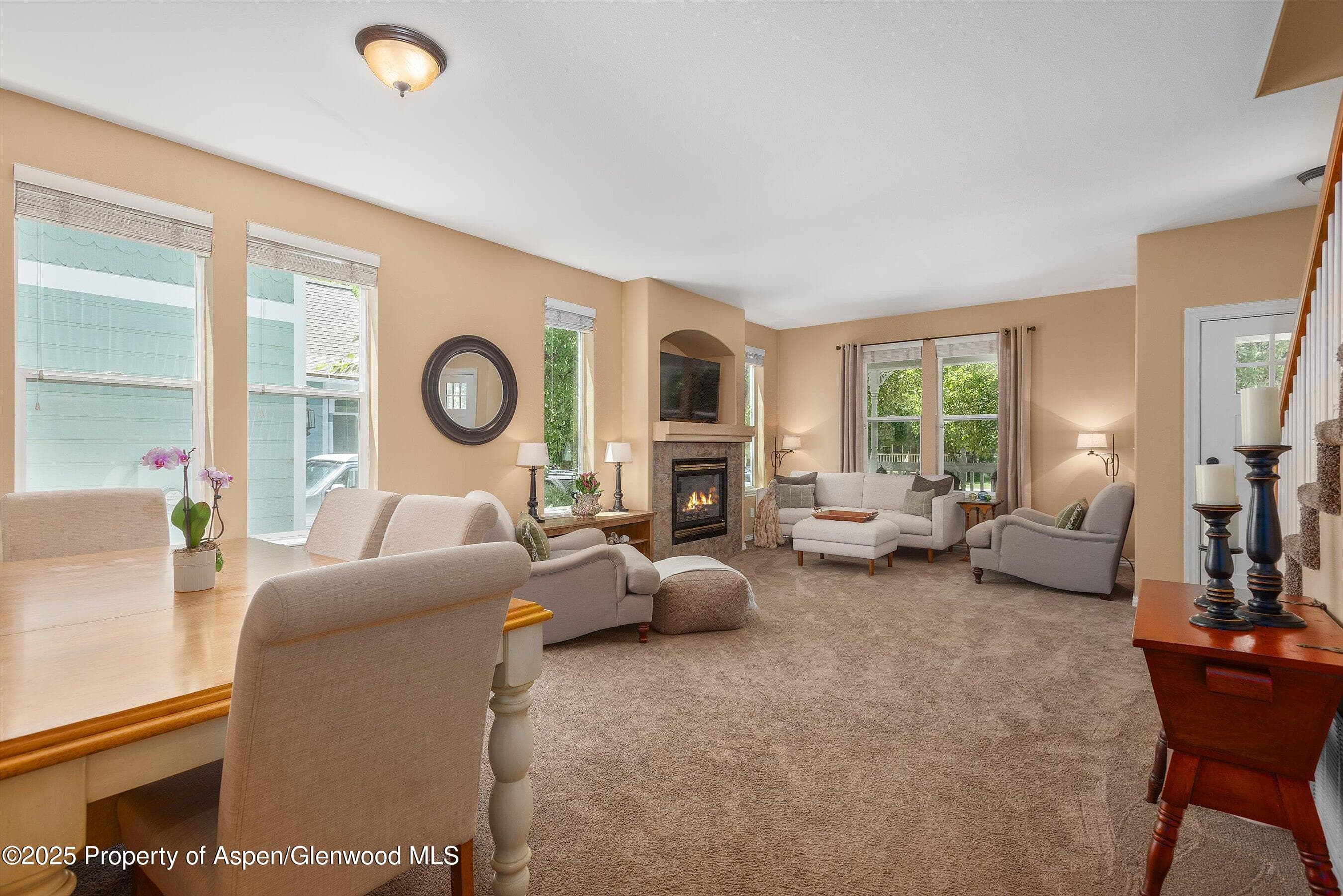 54 Ferguson Drive, Carbondale, CO 81623 - Photo 13