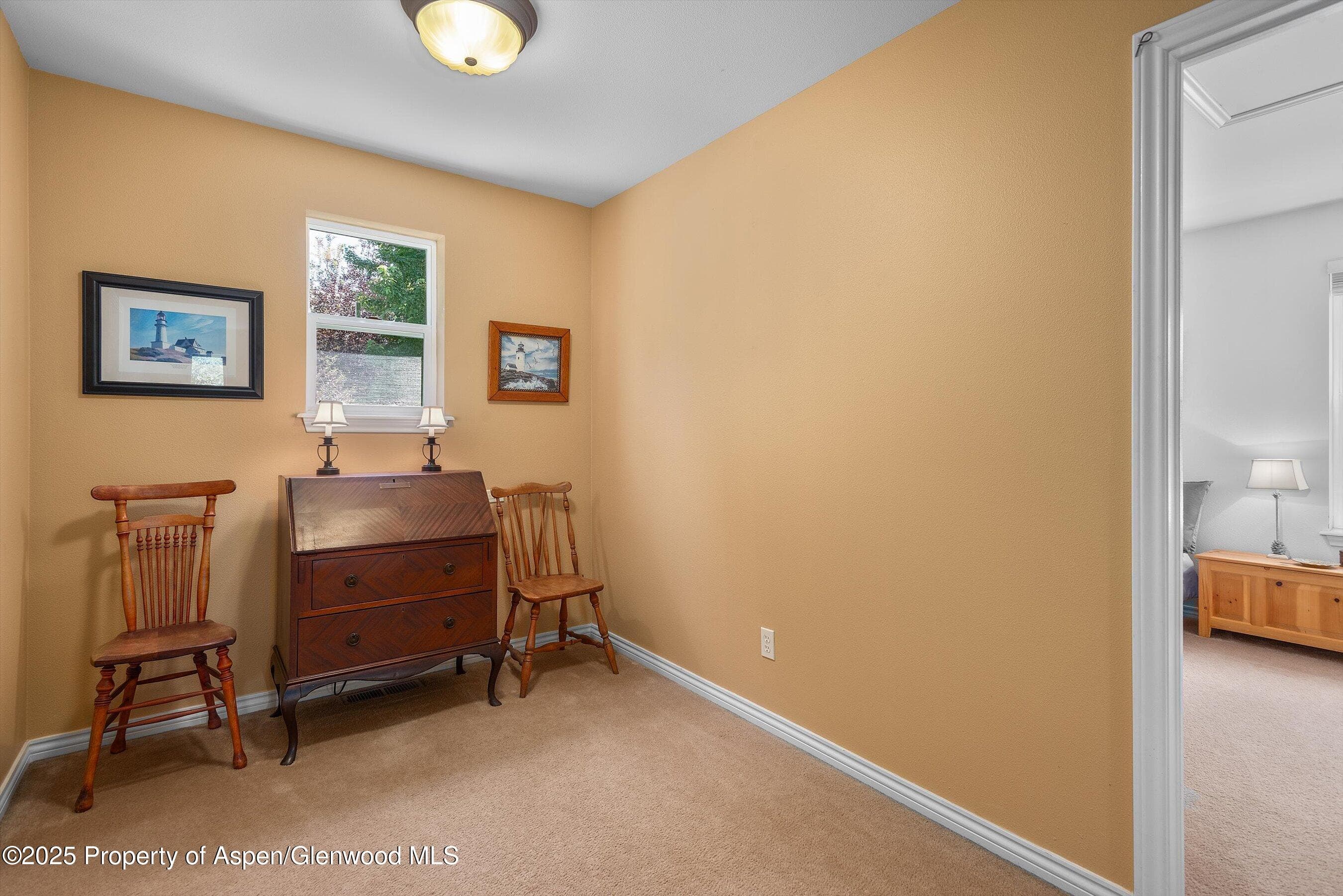 54 Ferguson Drive, Carbondale, CO 81623 - Photo 25