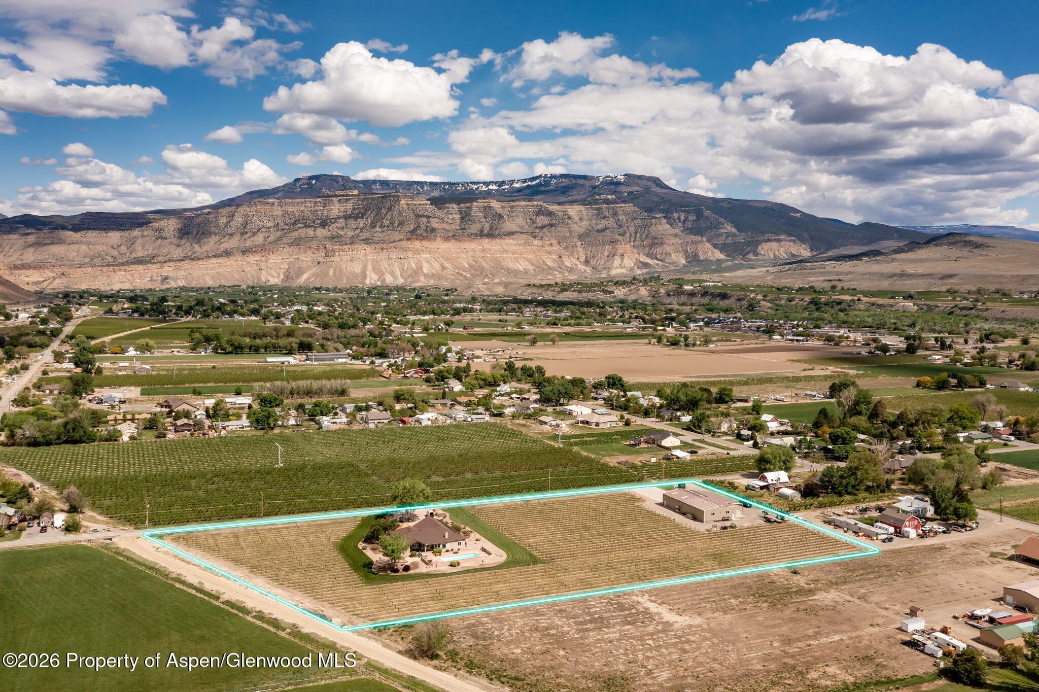 759 36 3/10 Road, Palisade, CO 81526 - Photo 34