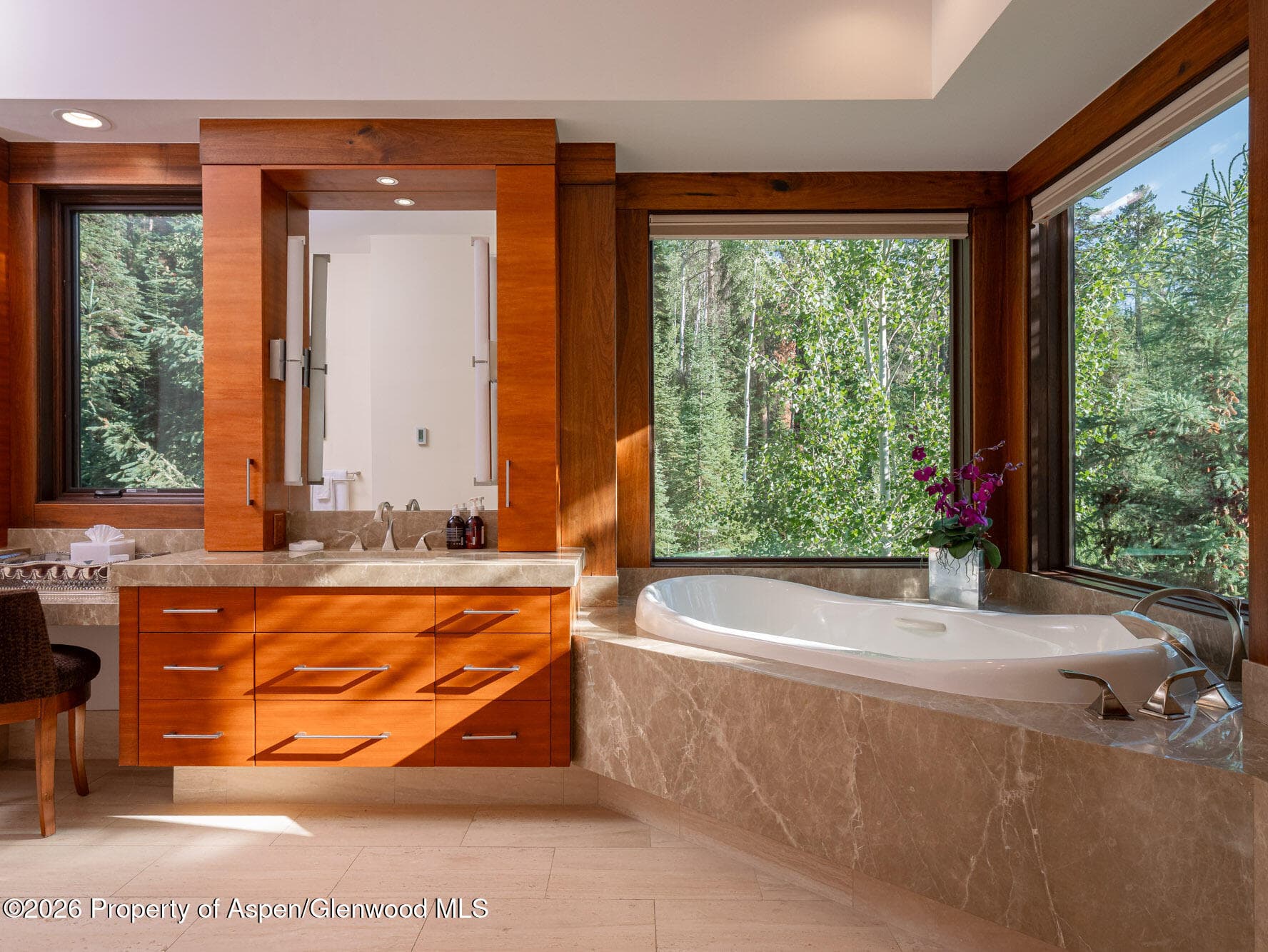 750 S Starwood Road, Aspen, CO 81611 - Photo 14