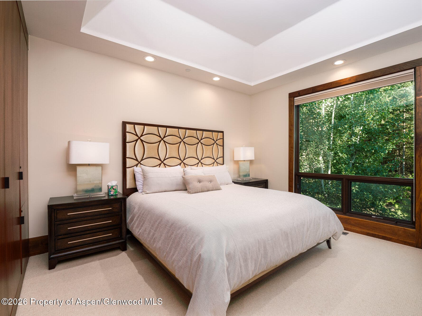 750 S Starwood Road, Aspen, CO 81611 - Photo 16