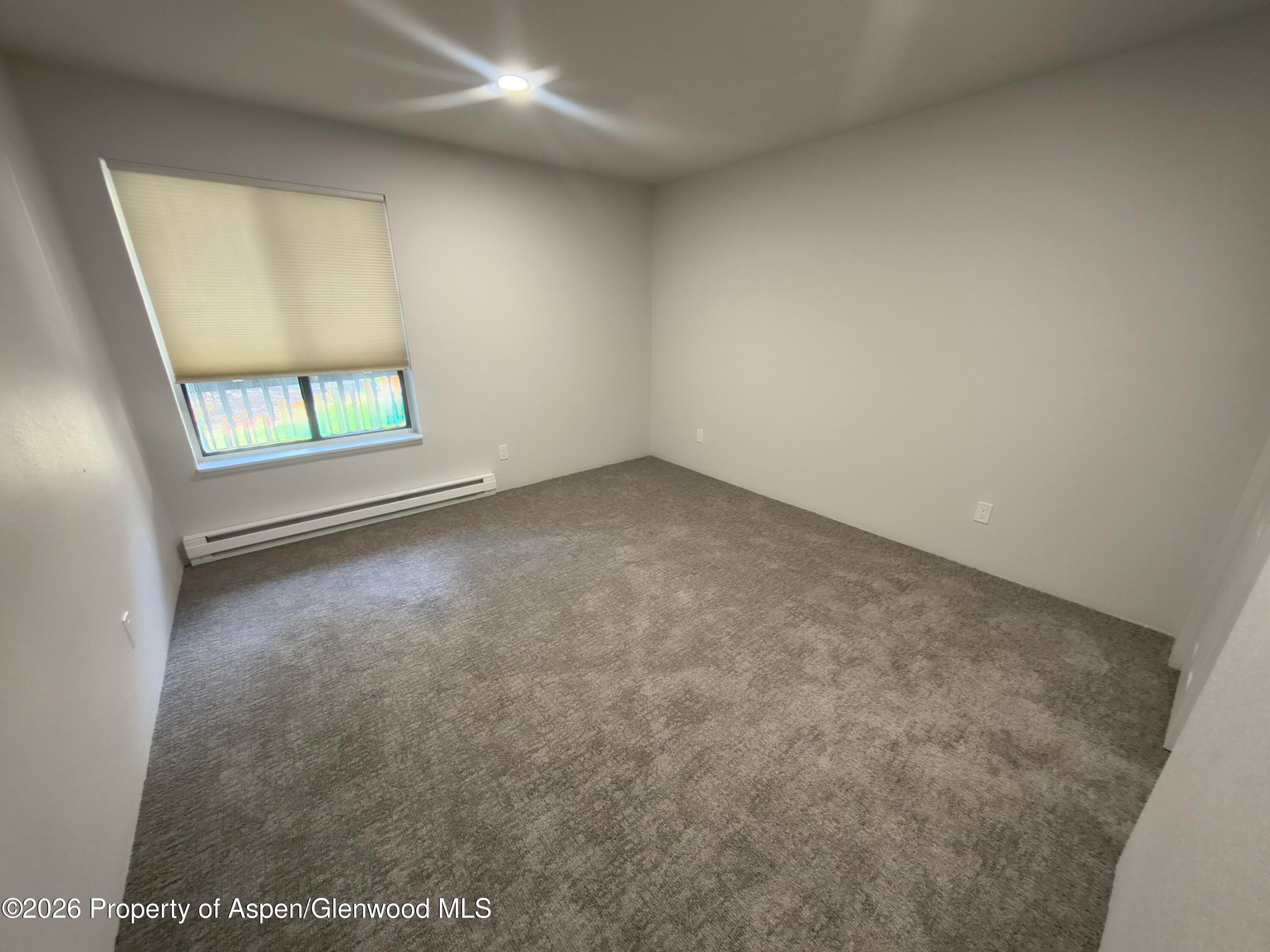 2820 Hager Lane 1-D, Glenwood Springs, CO 81601 - Photo 9