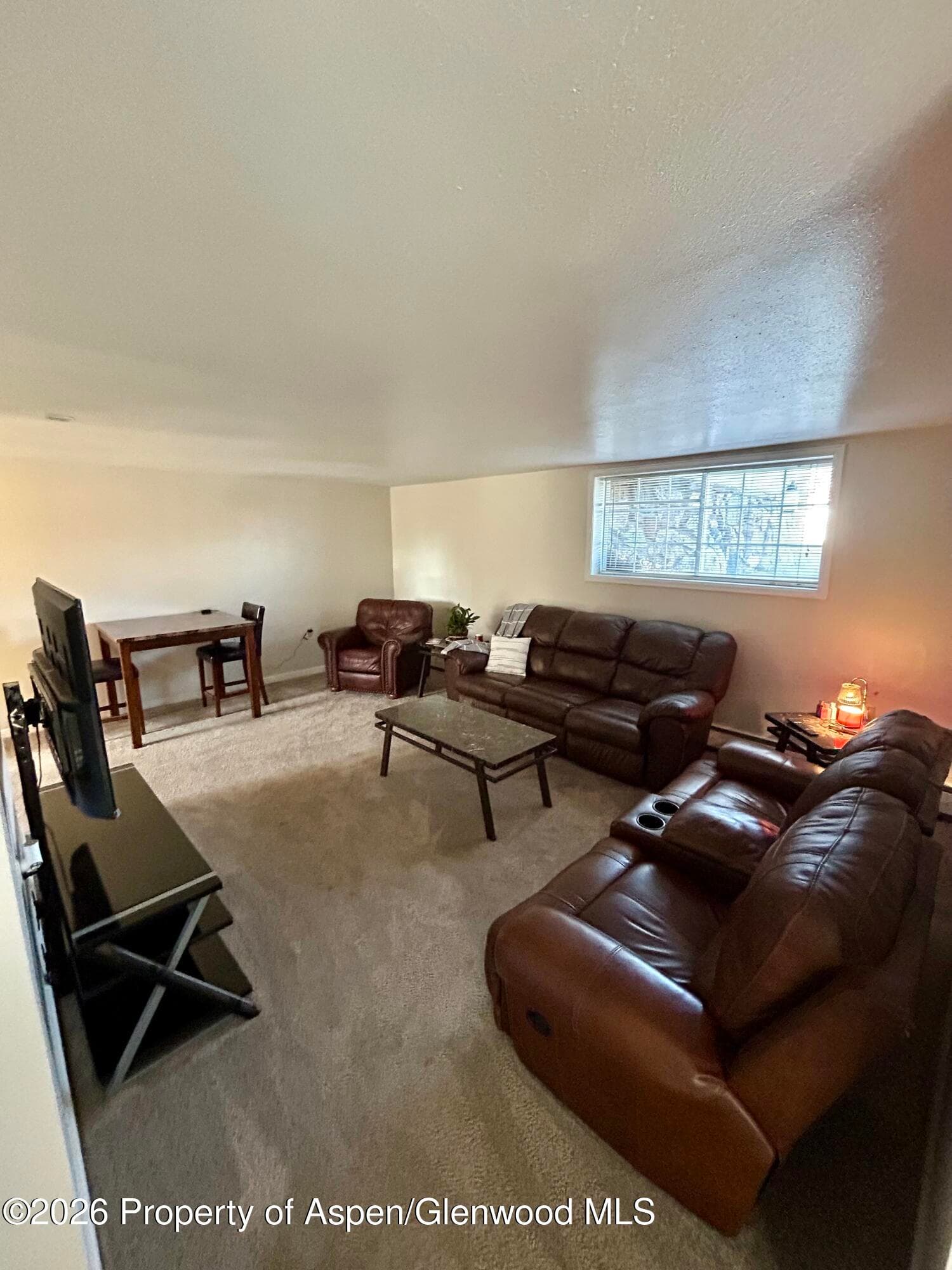 730 Green Street, Craig, CO 81625 - Photo 24