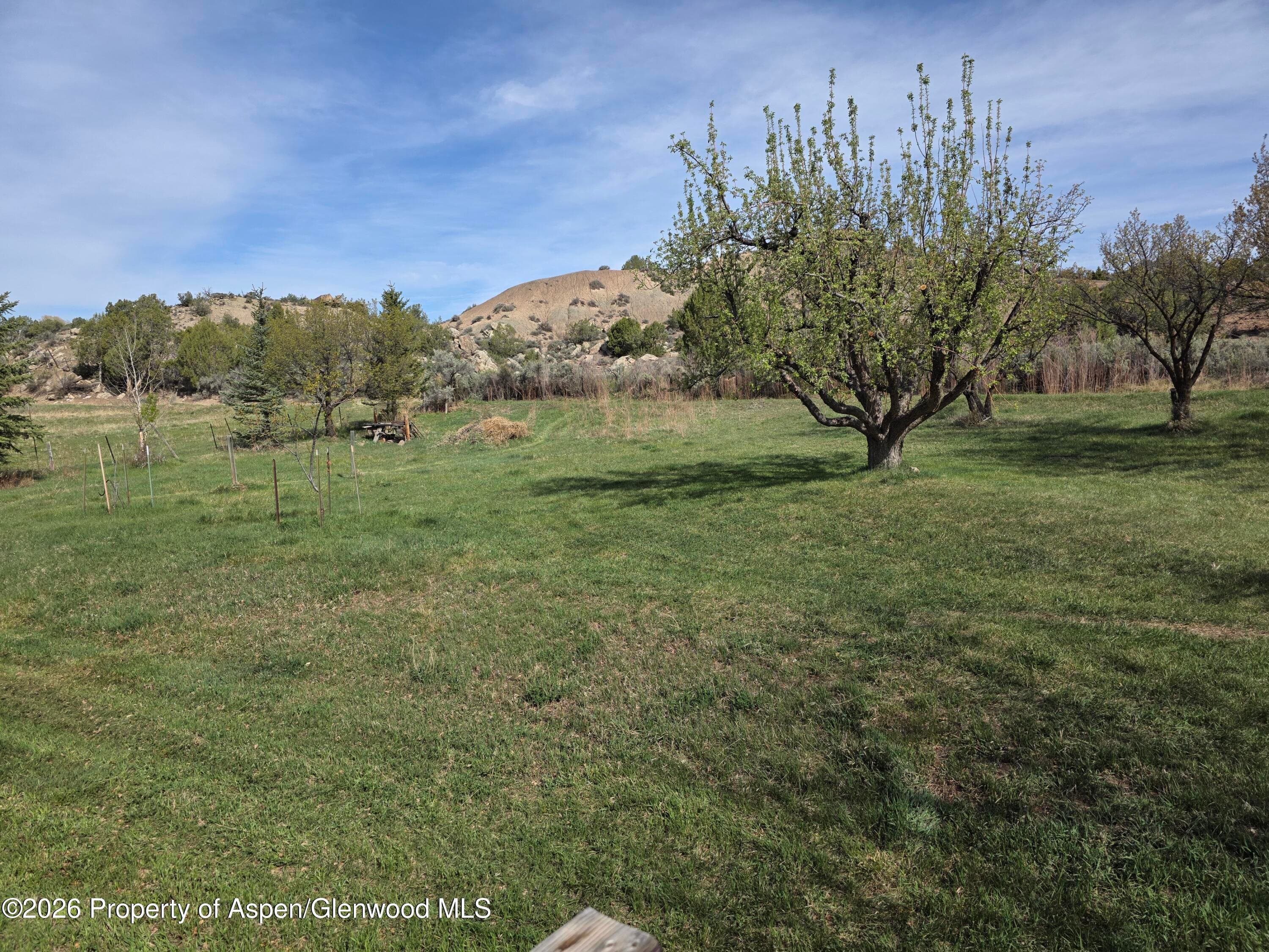 3465 County Road 214, Silt, CO 81652 - Photo 2