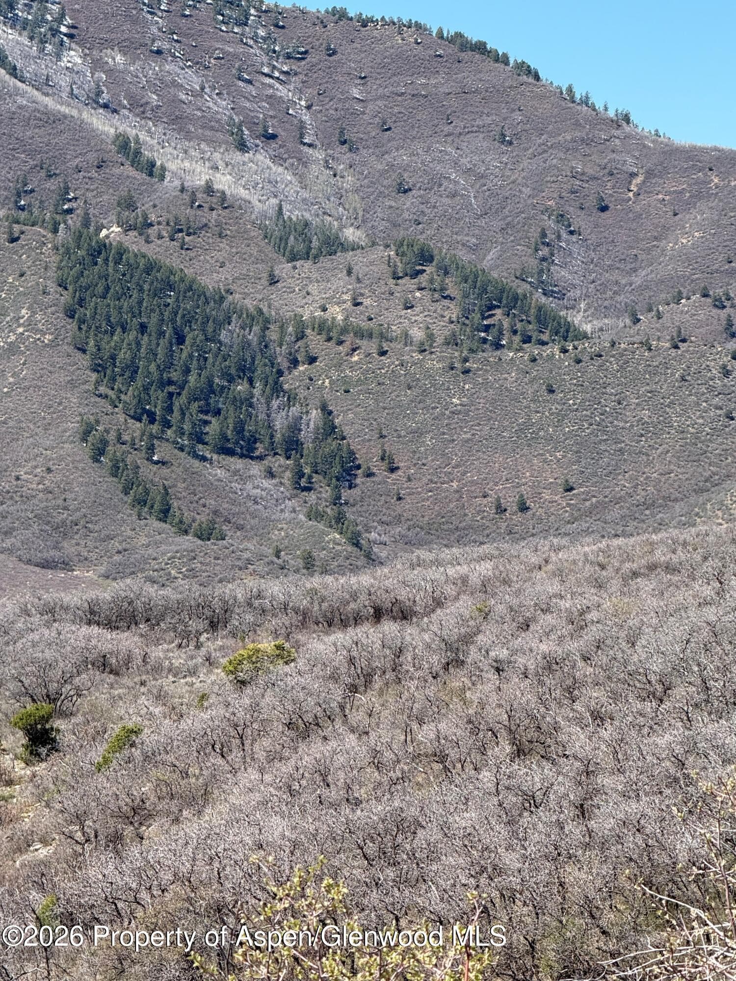 00 South Fork Road, Rifle, CO 81650 - Photo 4