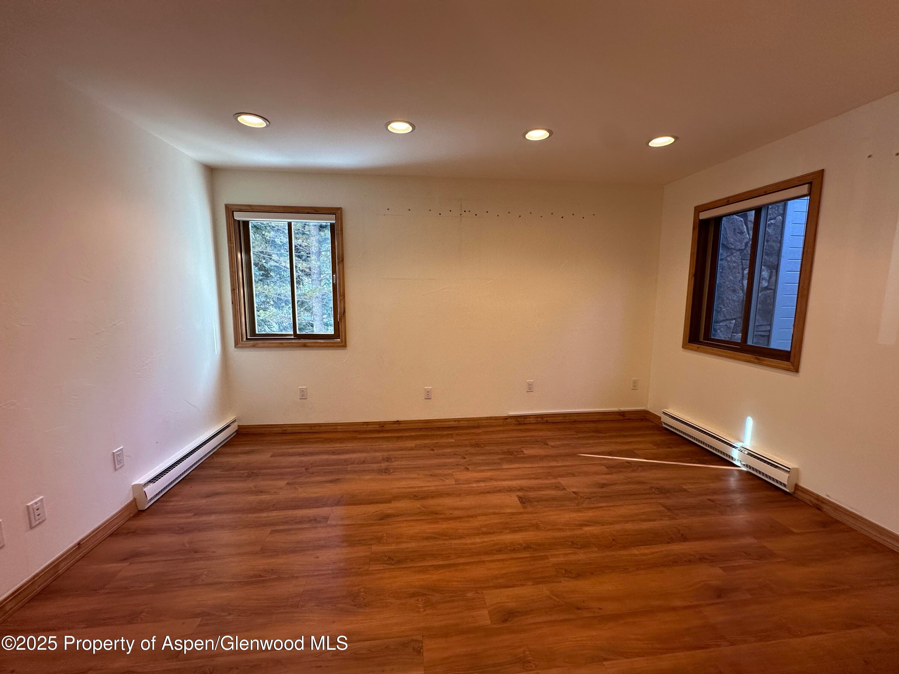 210 E Hyman Avenue 201 & 202, Aspen, CO 81611 - Photo 5