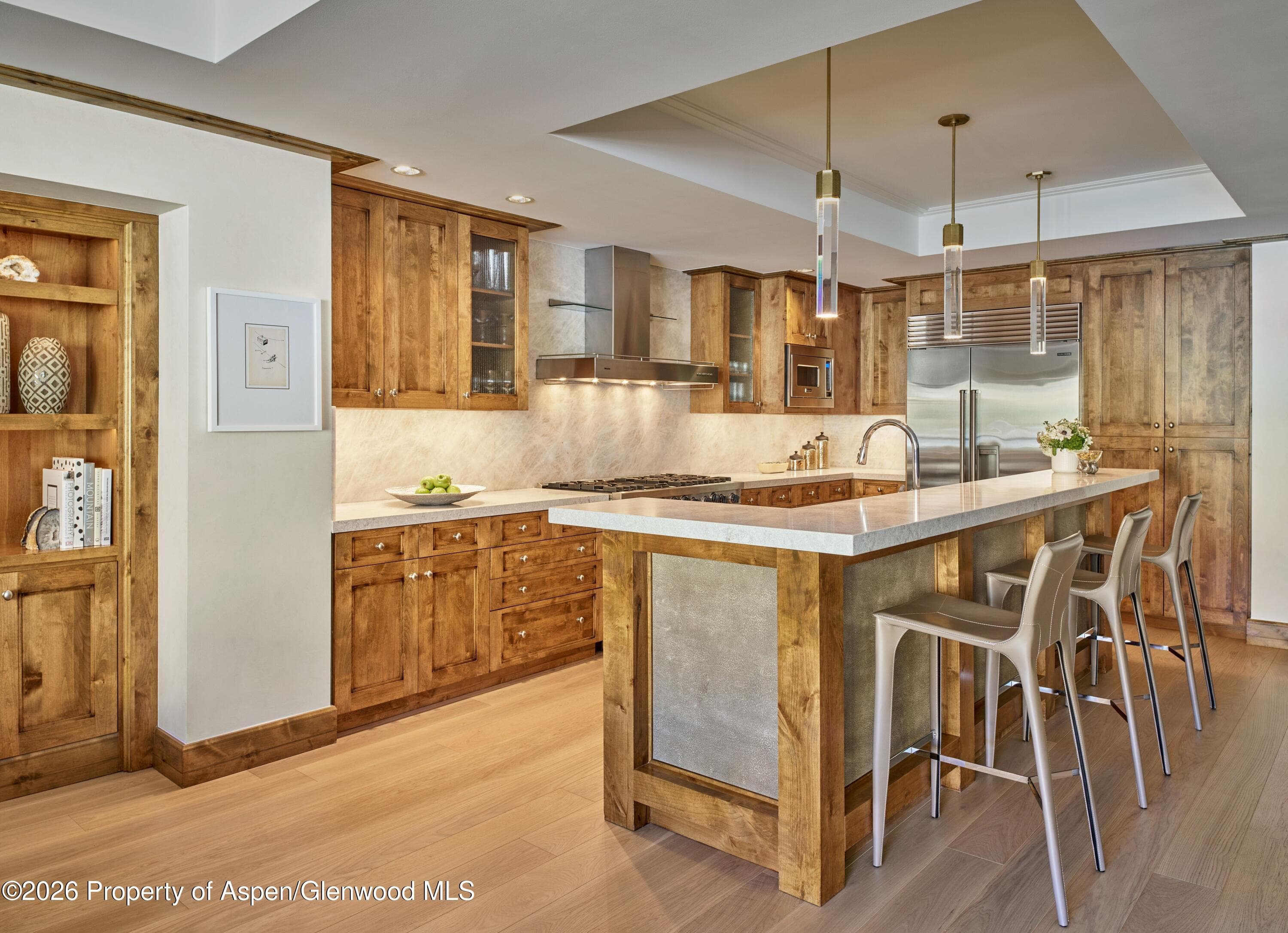 501 E Dean Street F203, Aspen, CO 81611 - Photo 2
