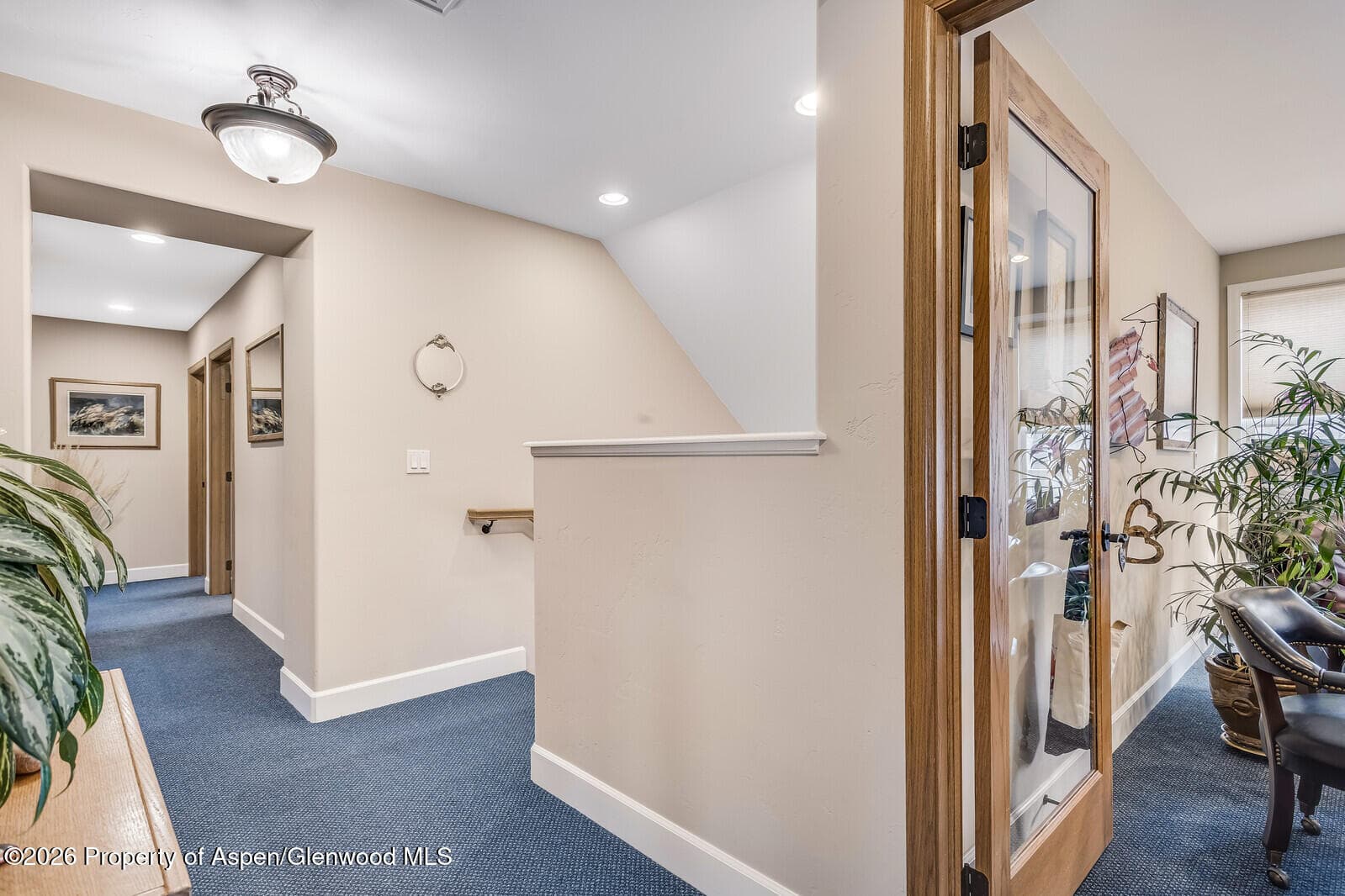 711 Main Street, Carbondale, CO 81623 - Photo 21