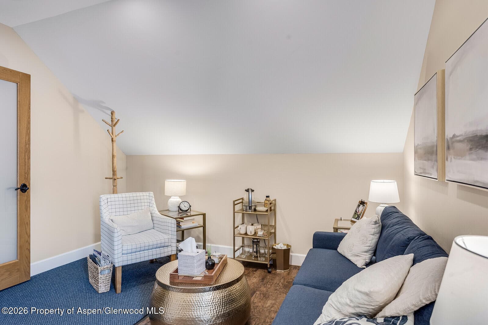711 Main Street, Carbondale, CO 81623 - Photo 28